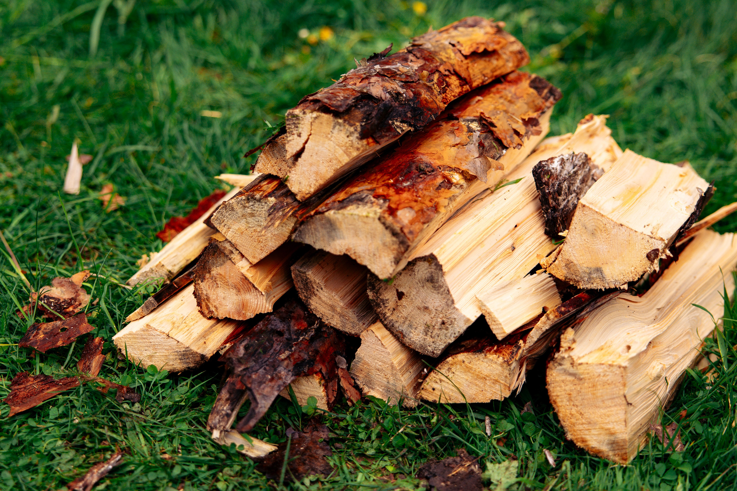 ХОЛОП -тематический праздник. Свадебный фотограф Минск РБ