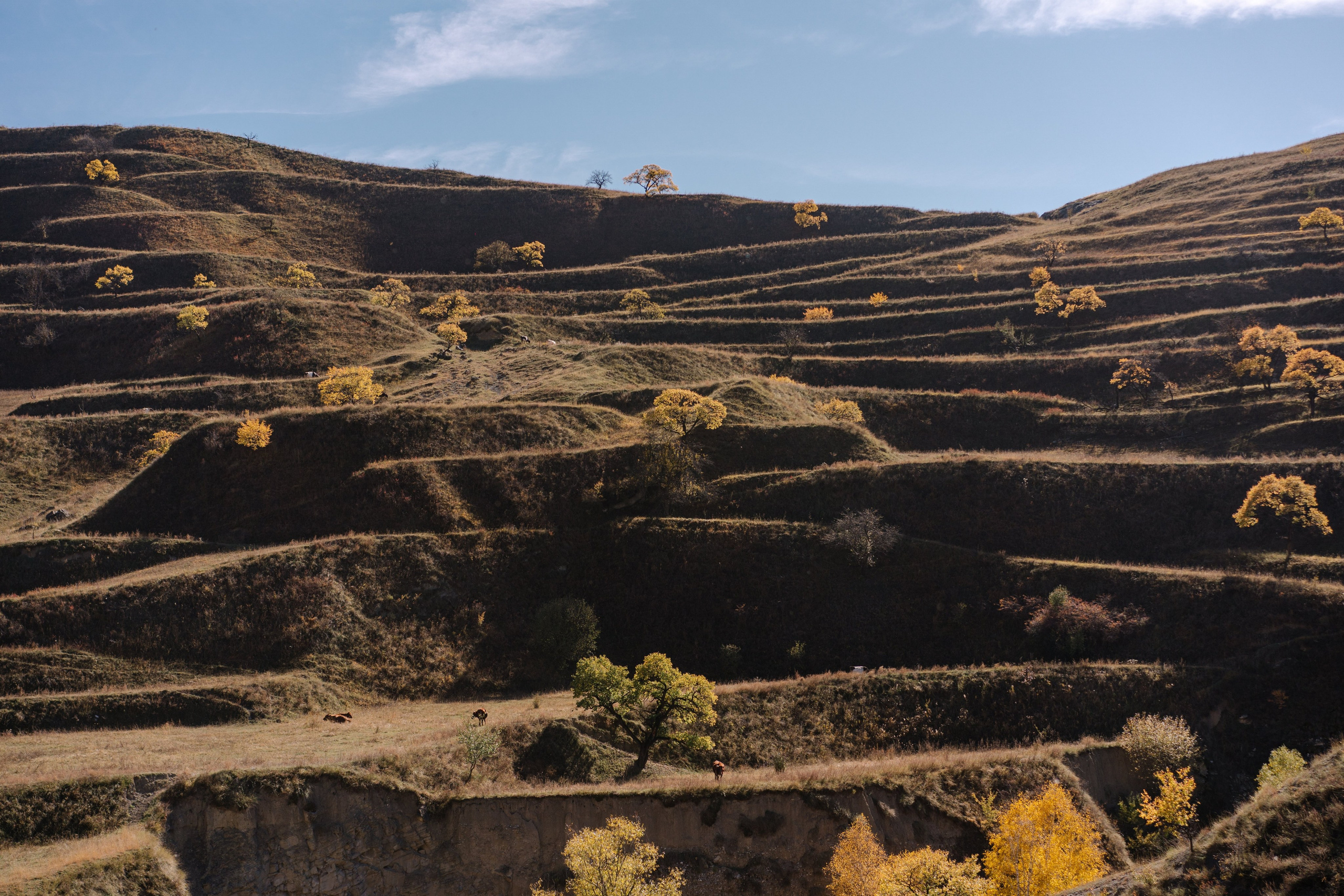 Фототур в Дагестан