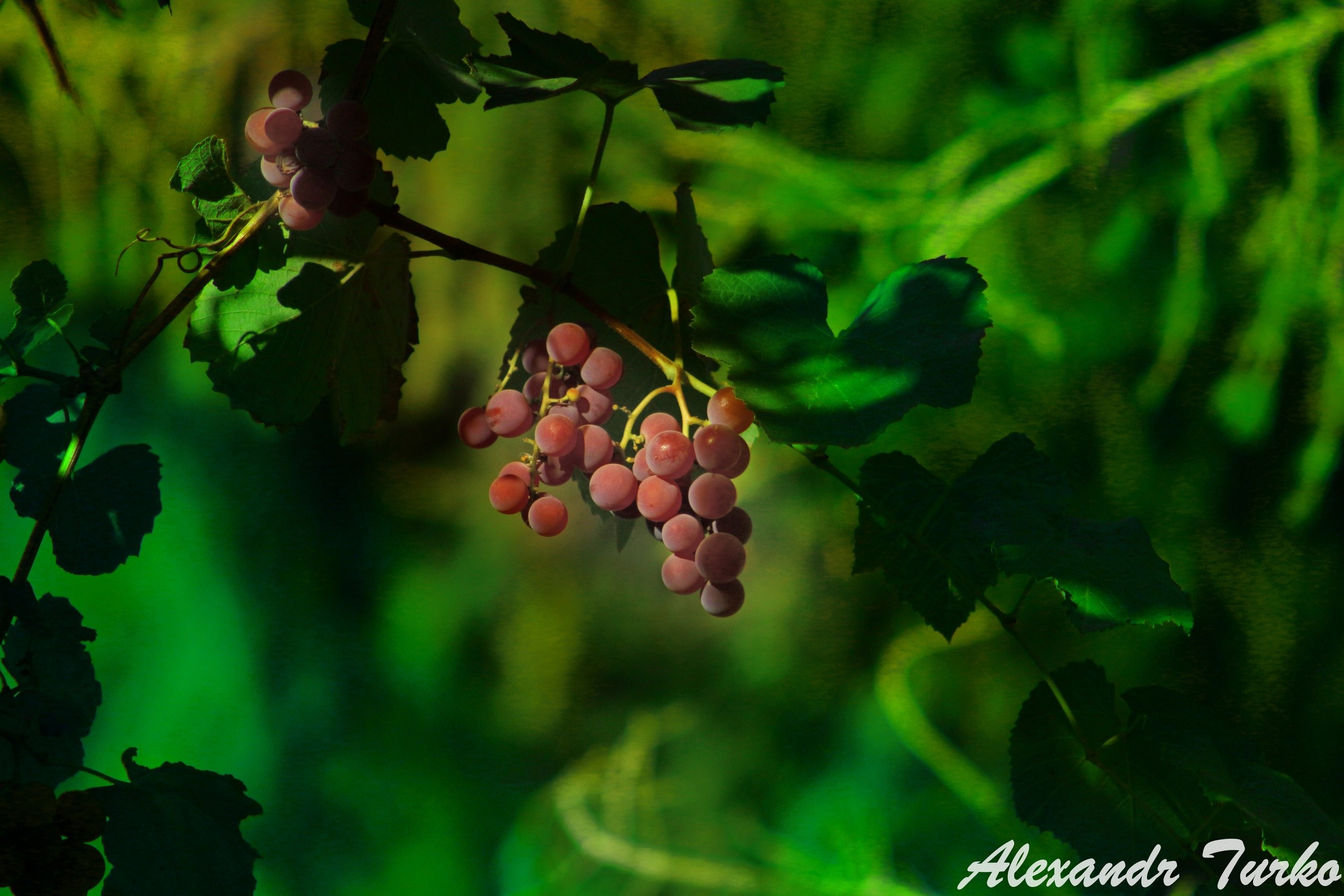 Пейзажи. Фотограф из Донецка Александр Турко