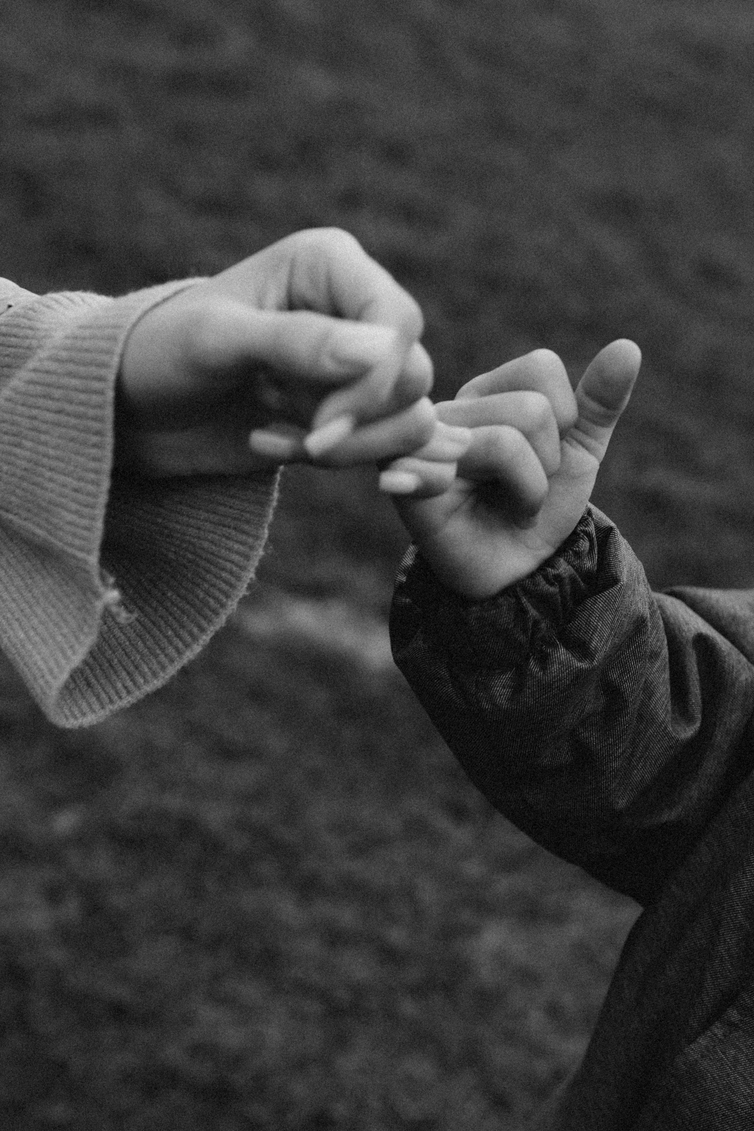 Вика, Рома, Егор. Фотограф в Туле и Алексине Стулова Мария