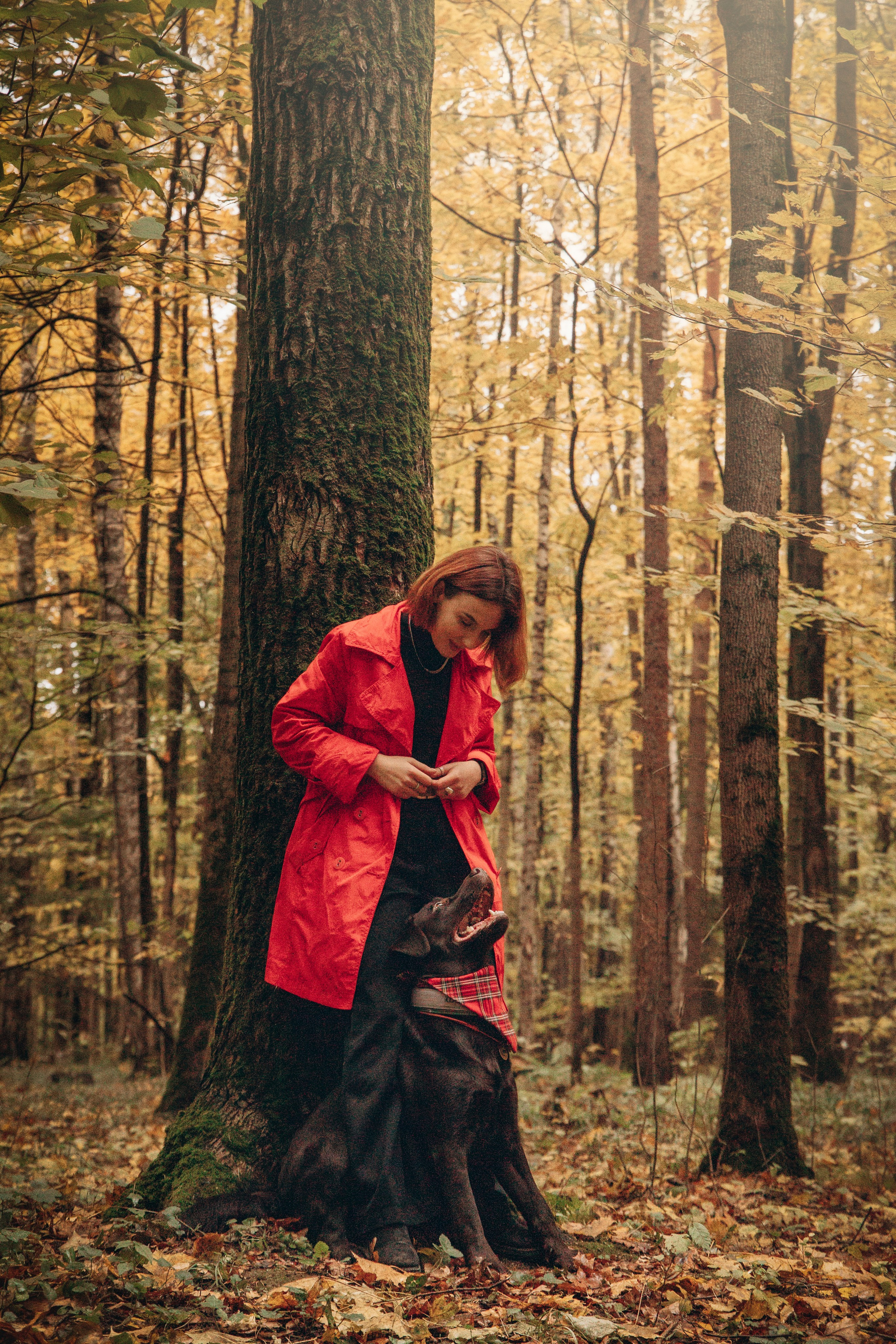 Арина и Сэмми. Фотограф — Анималист | Санкт-Петербург