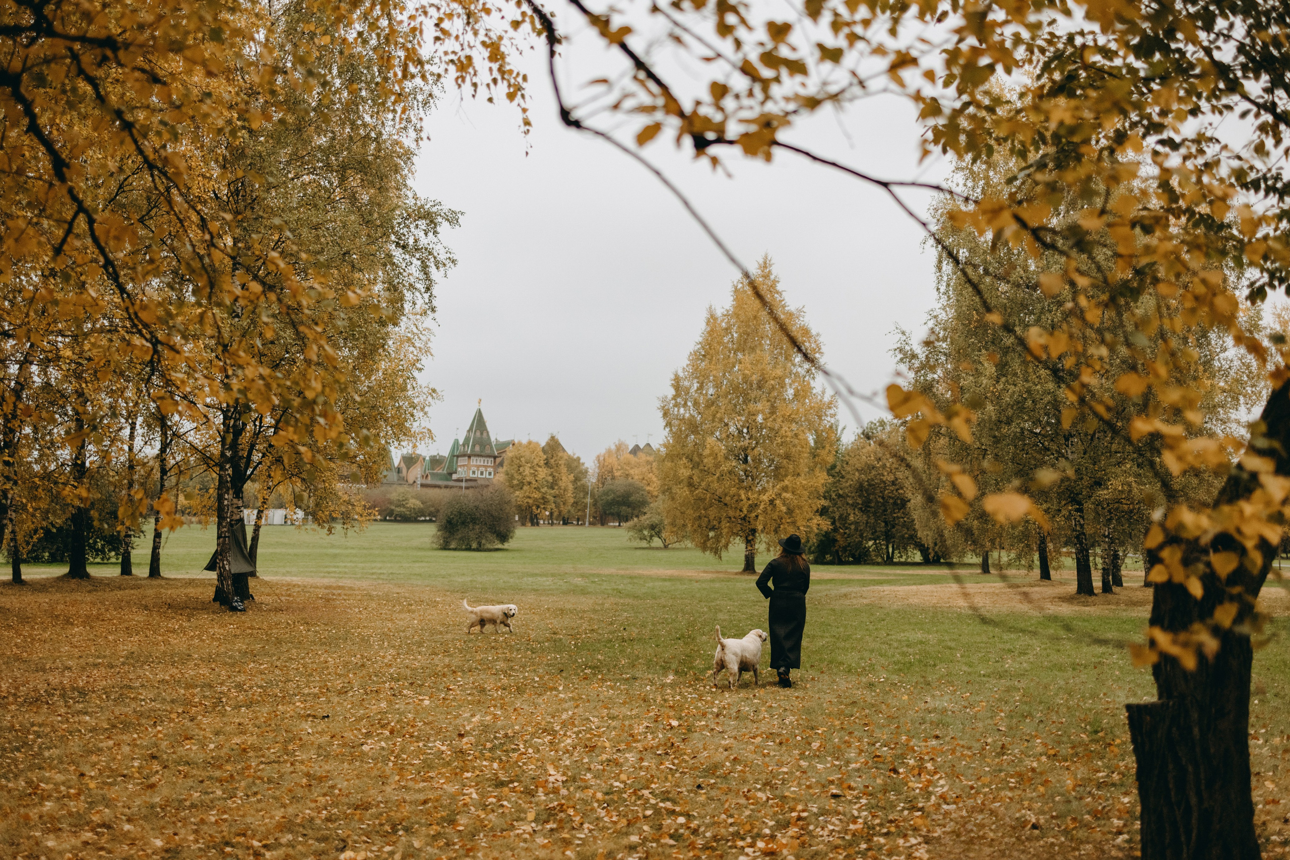 Женя и ее девочки. Фотограф — Анималист | Санкт-Петербург