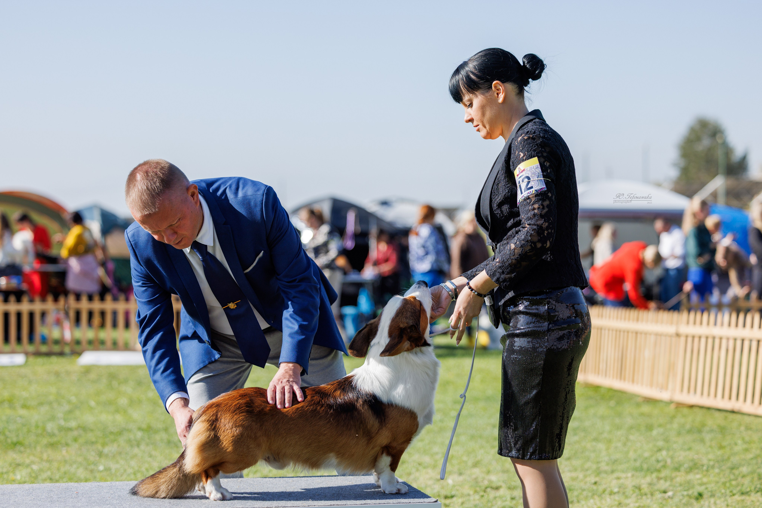 Ереван 14-16.10.2025. Фотограф-анималист Юлия Германика