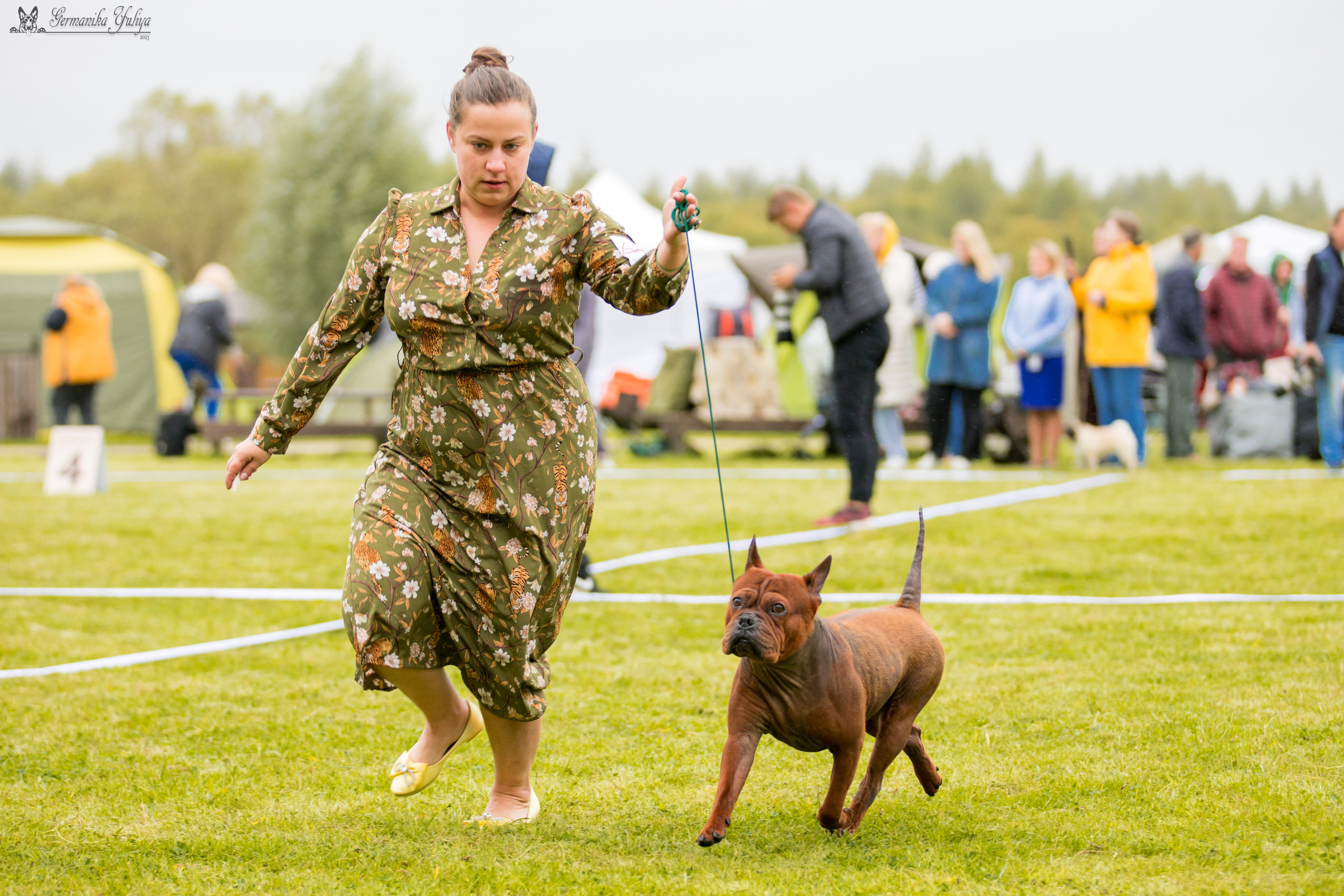 Переславль 9-10.09.2023. Фотограф-анималист Юлия Германика
