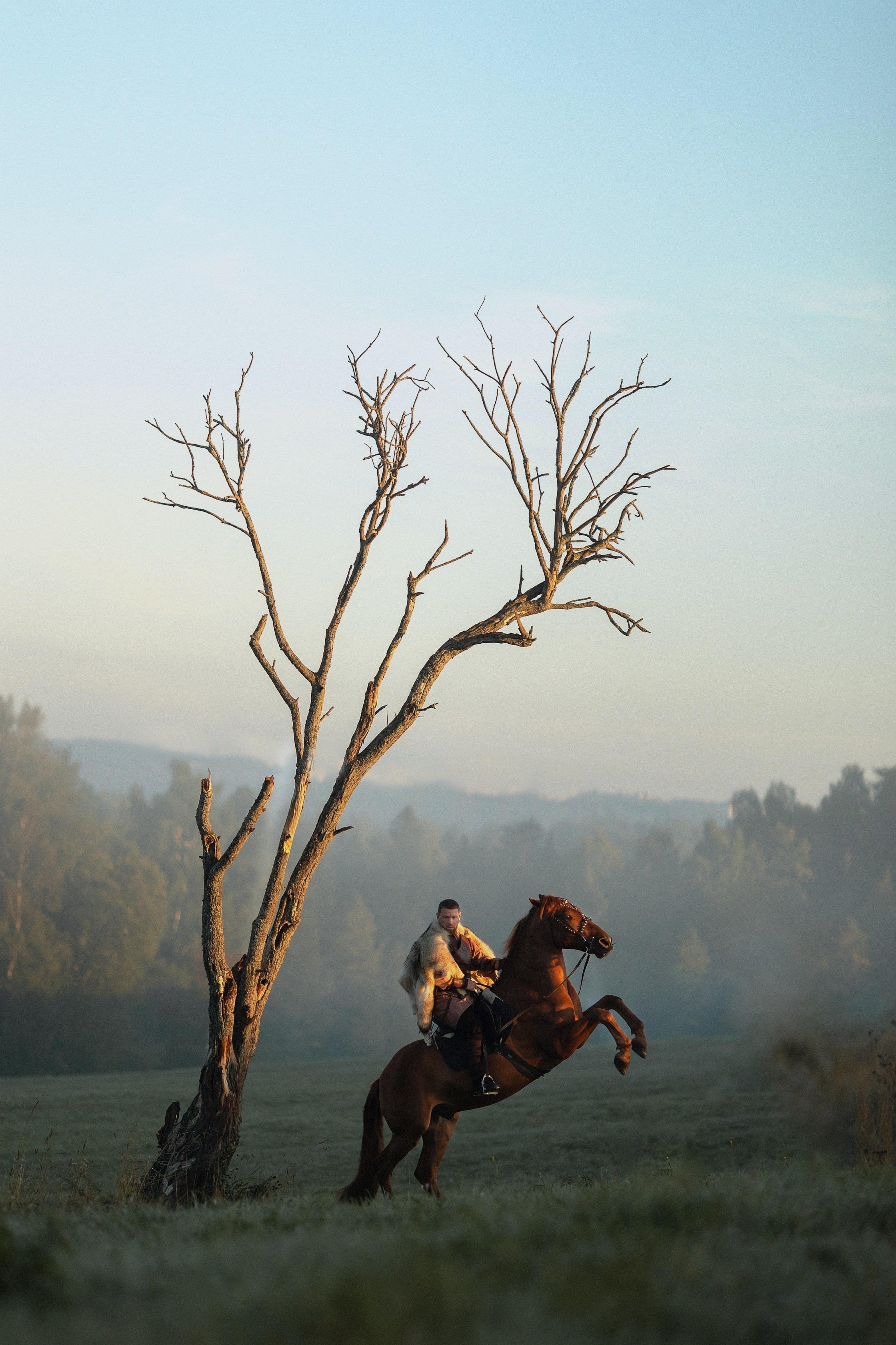 Фотосессии с лошадьми. Конный фотограф Валынкина Лера
