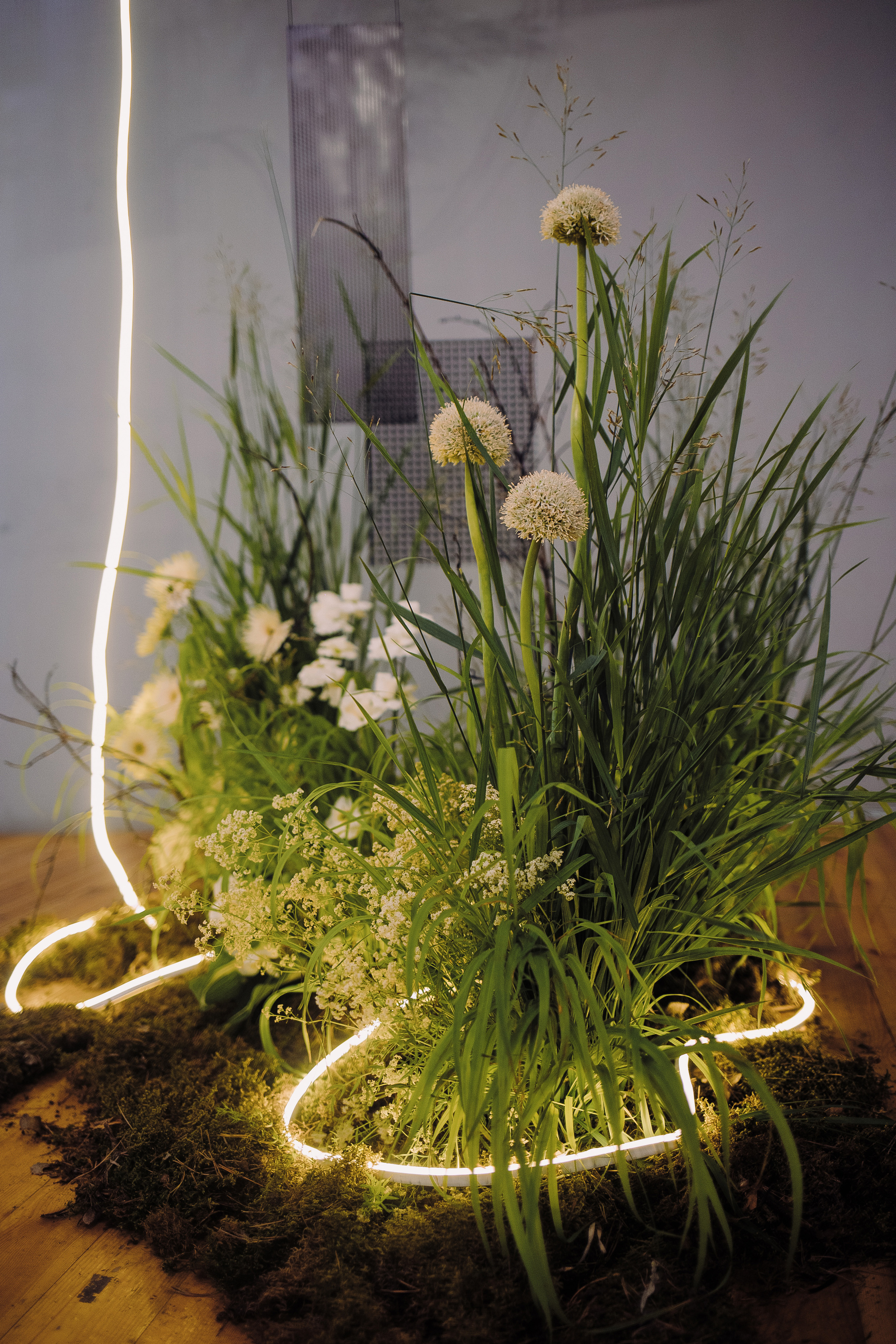 А&В WEDDING. Свадебный и портретный фотограф в Челябинске