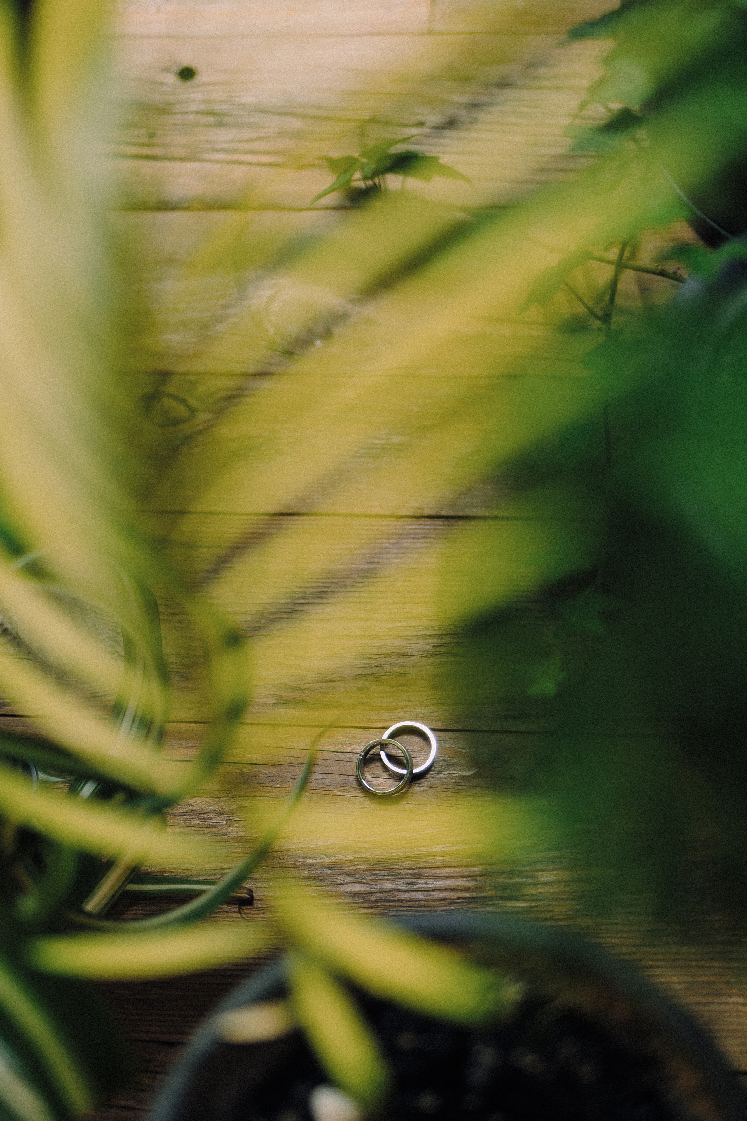 А&В WEDDING. Свадебный и портретный фотограф в Челябинске