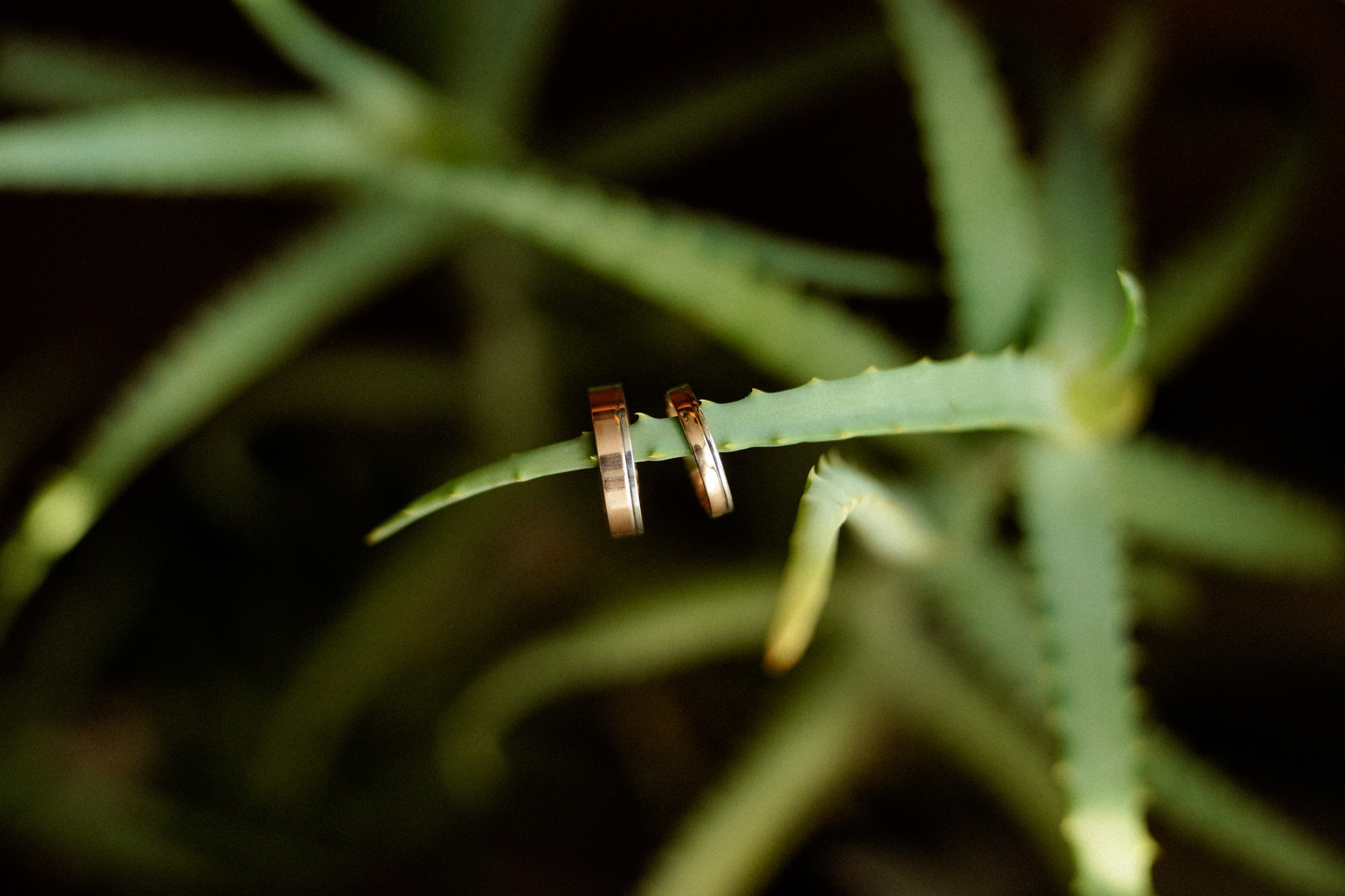 Слезы счастья…. Свадебный и семейный фотограф в Абакане Василевский Алексей