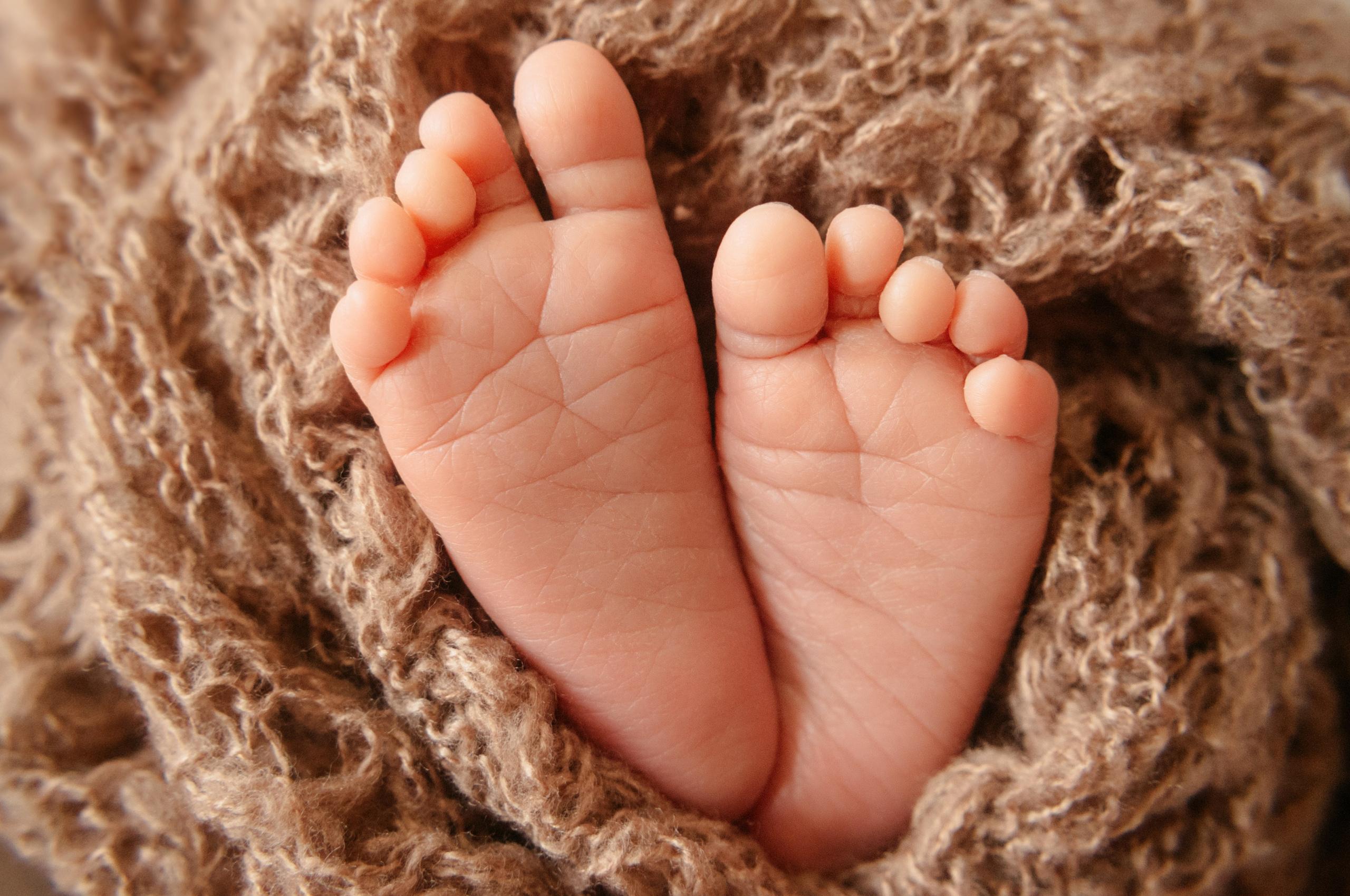 Новорожденные. Dutova-art.ru