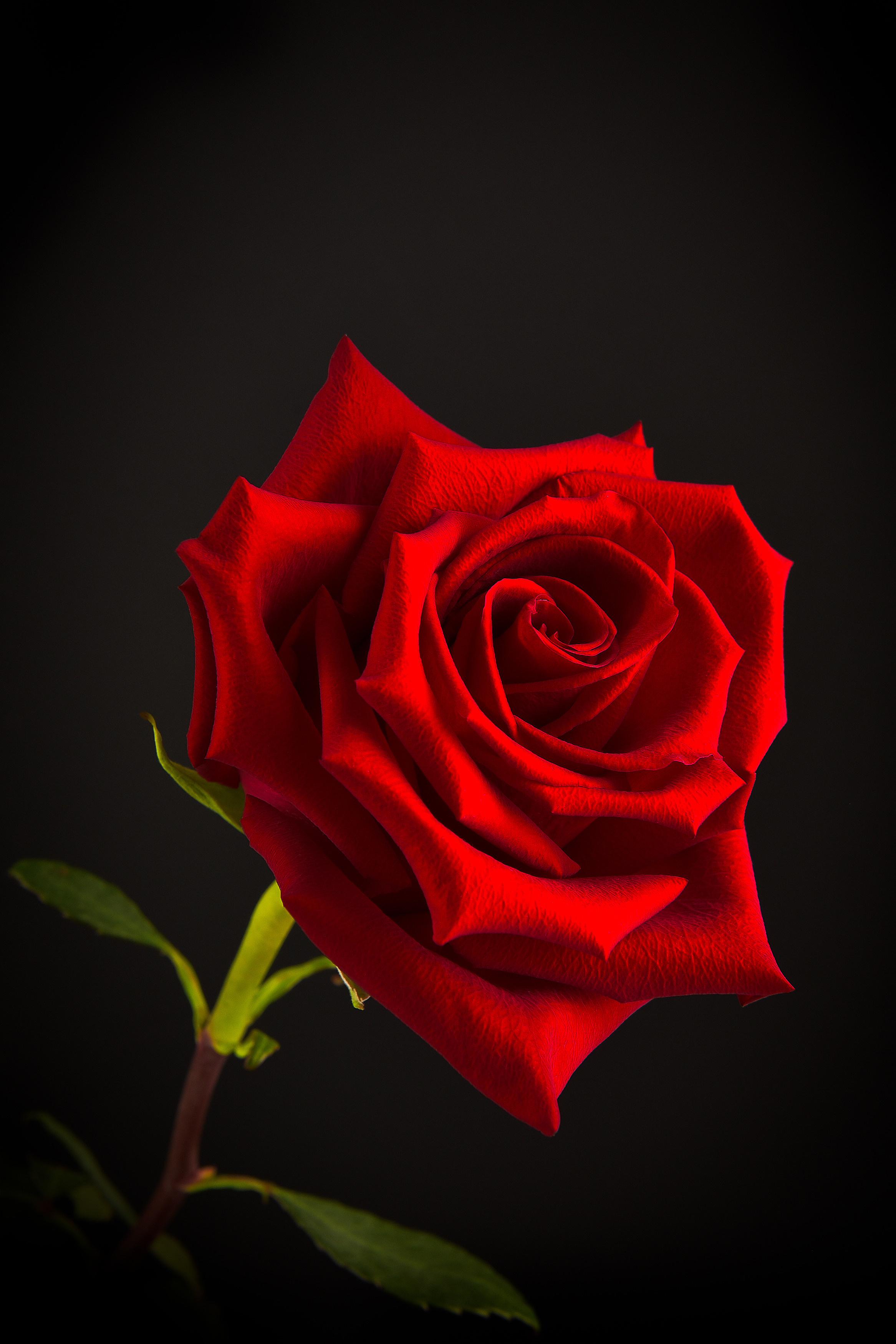 Фотограф Игорь Ковалёв в г. Артём (Приморский край)