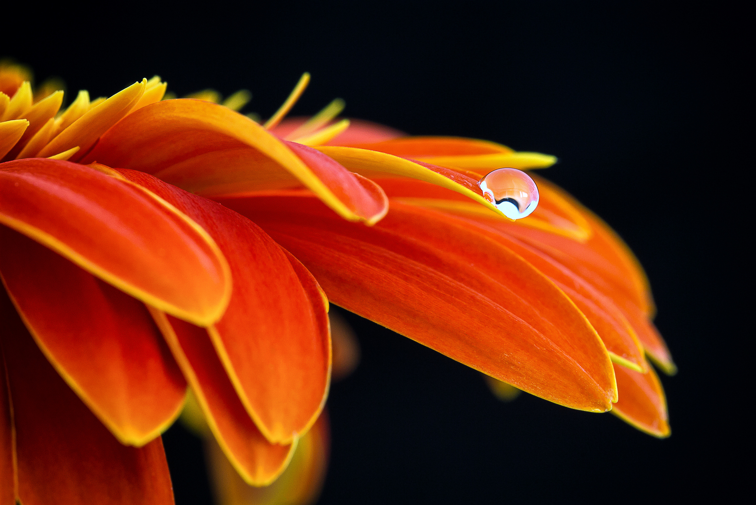 Фотограф Игорь Ковалёв в г. Артём (Приморский край)