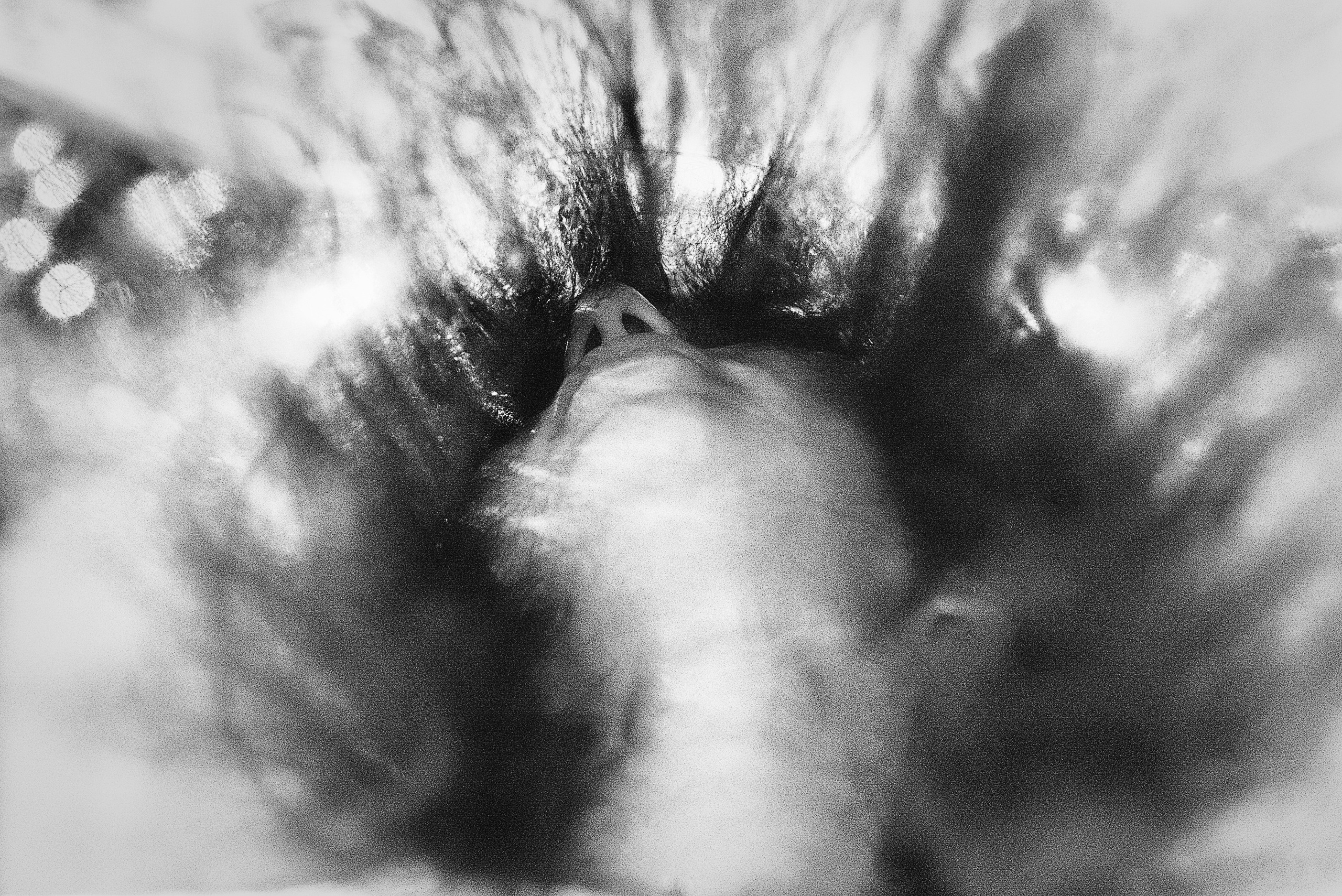 Фотограф Игорь Ковалёв в г. Артём (Приморский край)