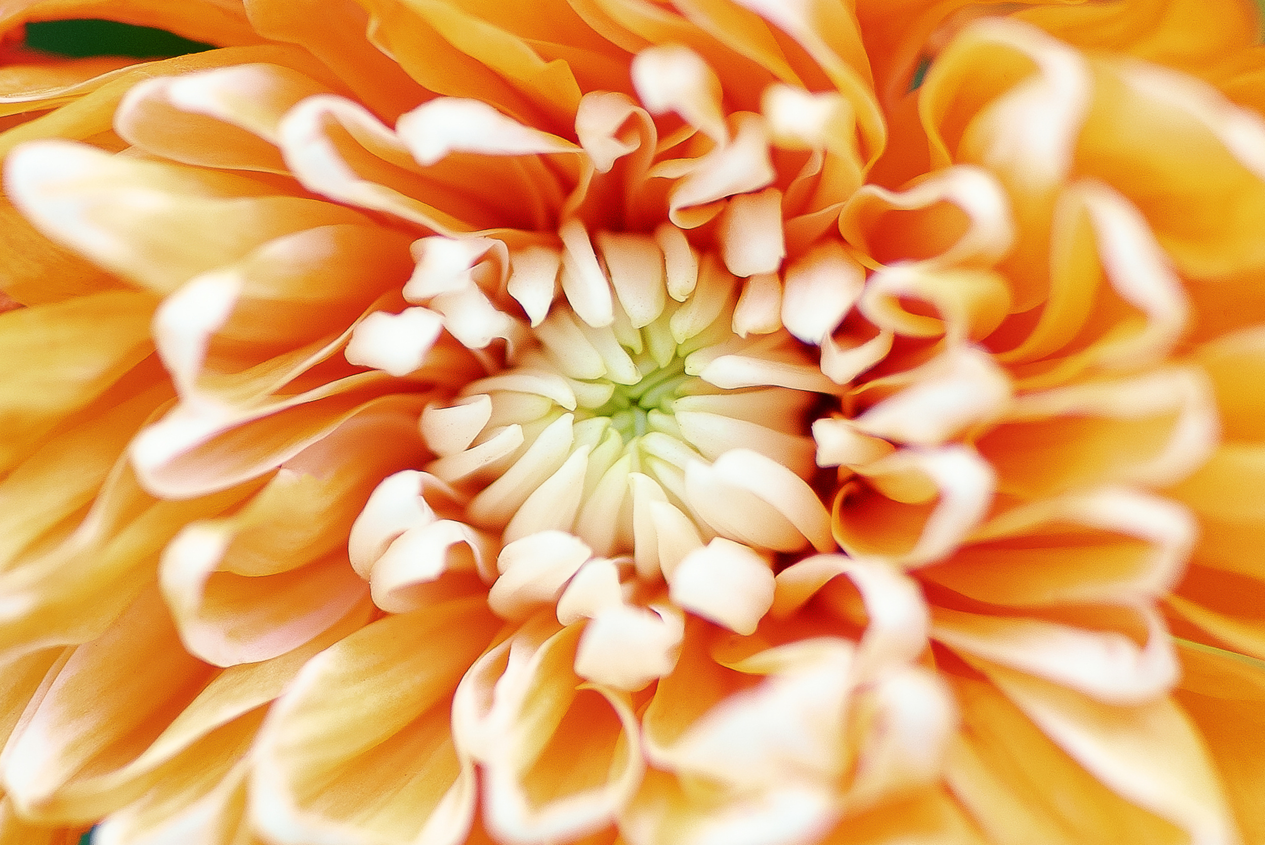 Фотограф Игорь Ковалёв в г. Артём (Приморский край)