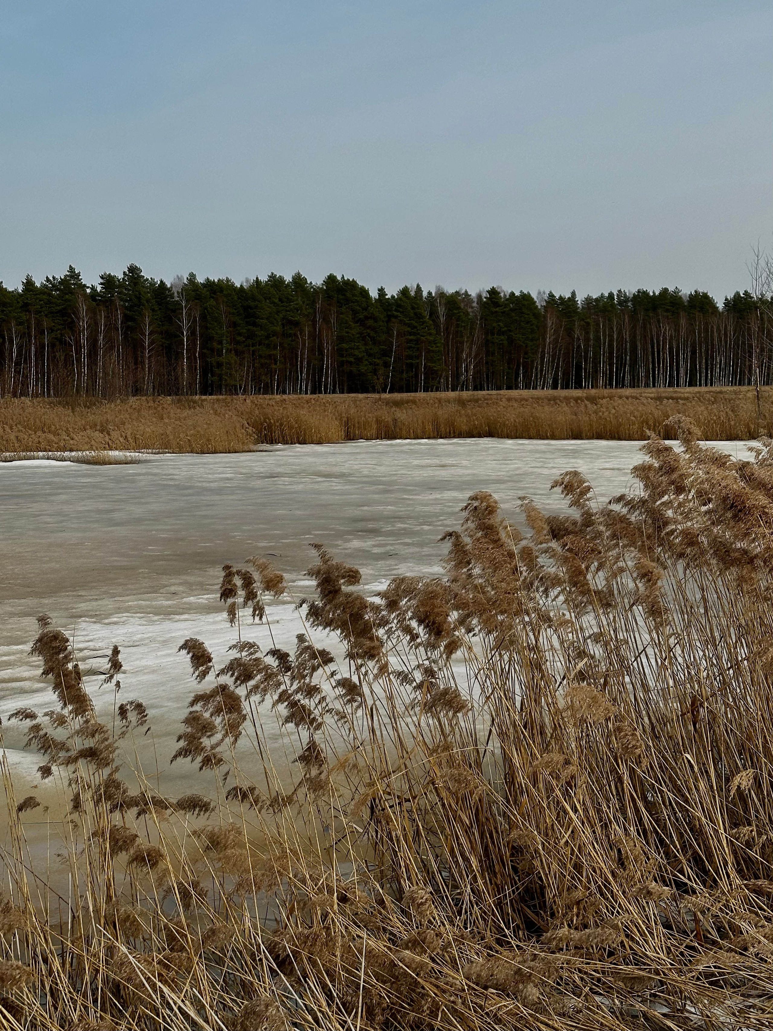 EXHIBITION. Репортажный и интерьерный фотограф, фотохудожник