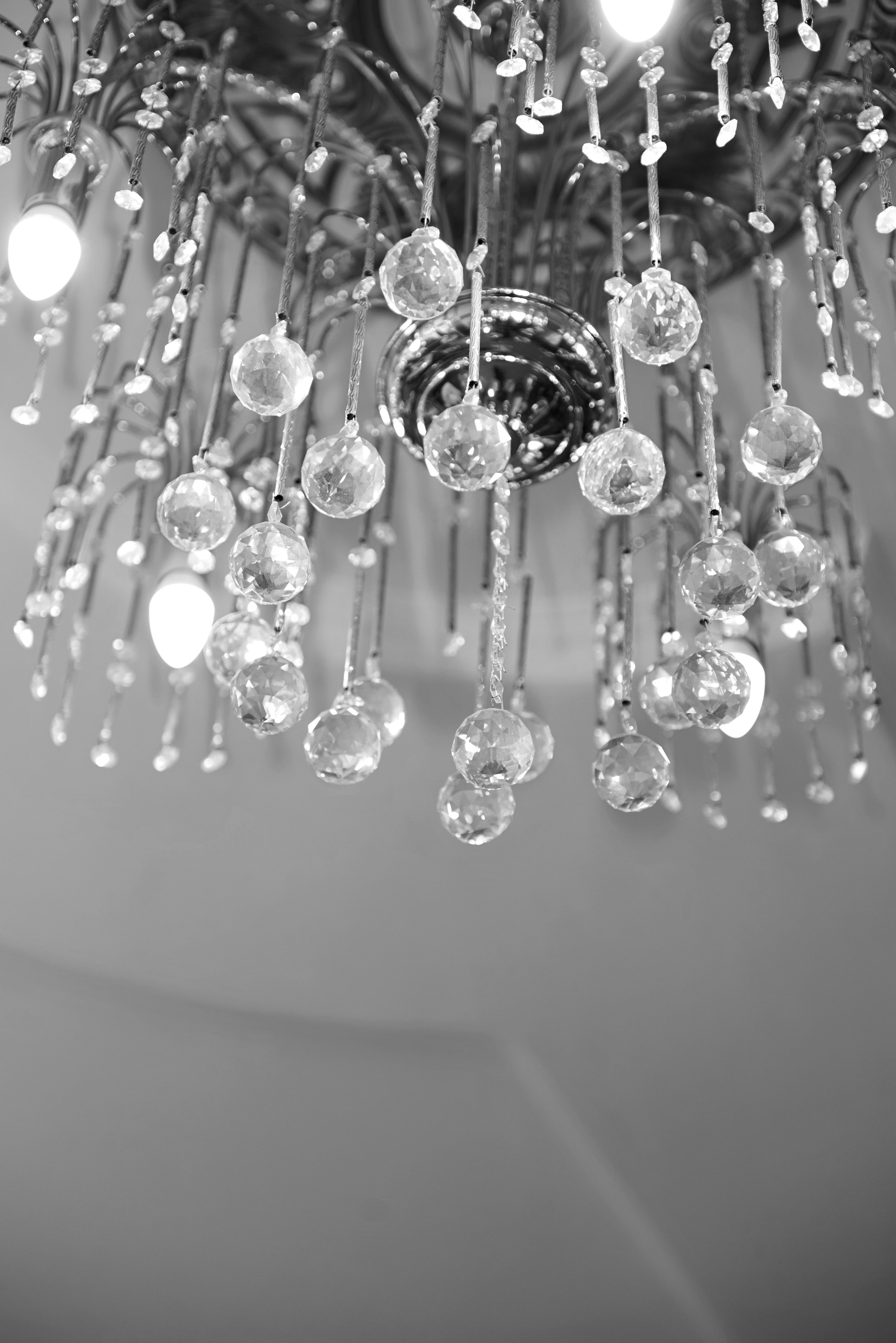 19.07.25 Лев и Ксюша. Свадебный фотограф Юлия Гусева