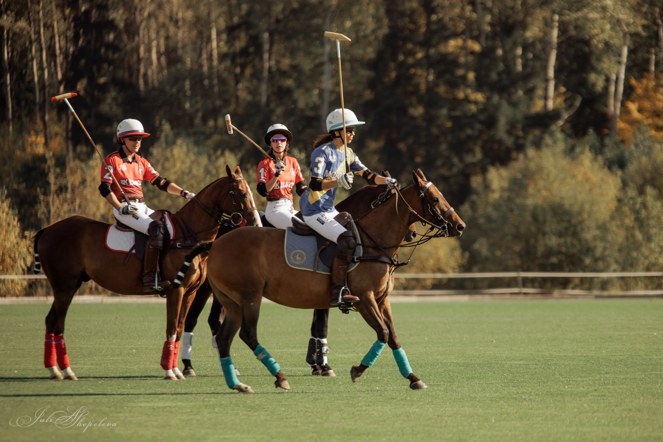 Осенний кубок по конному поло. Детская Конная фотография в Москве Юлия Шепелева