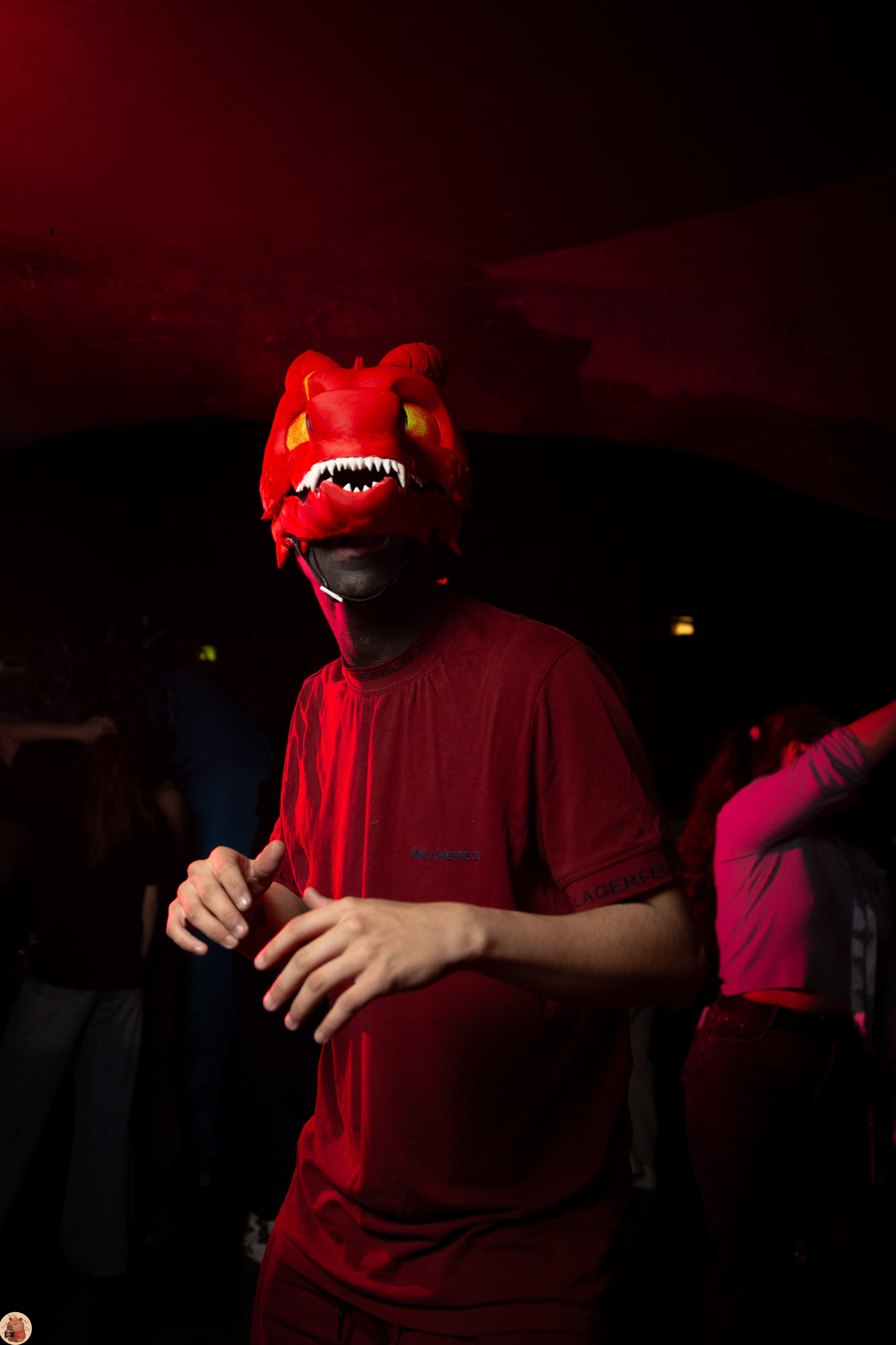 CatoonParty: Tokyo rave. Пруд Капибарки