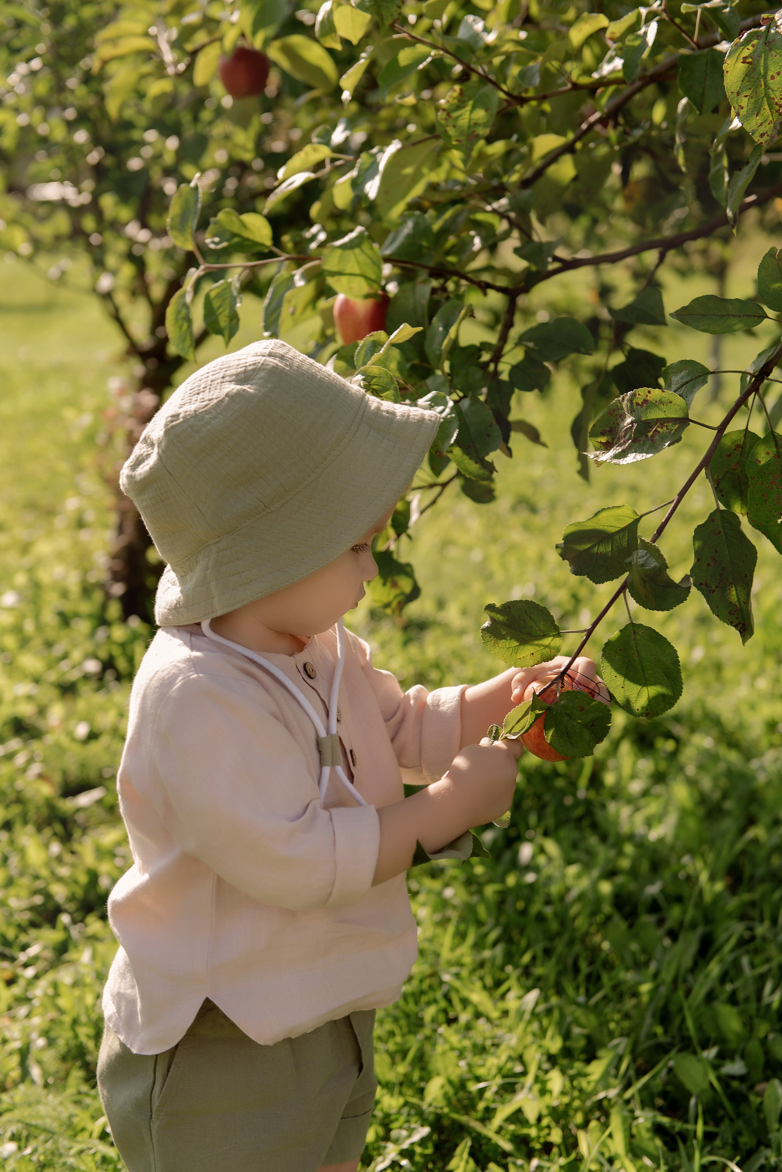 Яблоневый сад. Детский фотограф в Долгопрудном и Москве