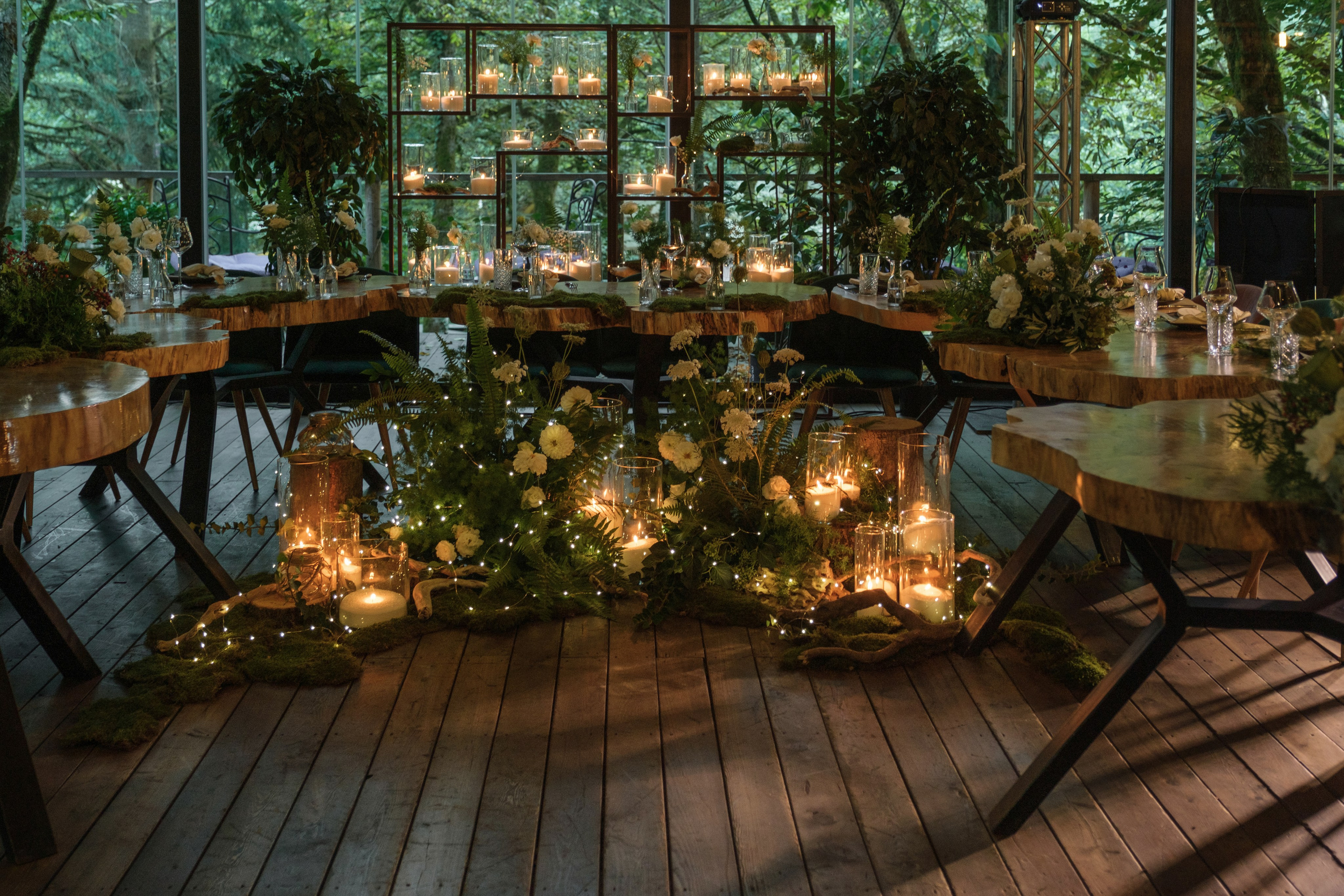 Кот и Дракон. Свадебный Видеограф Фотограф в Сочи