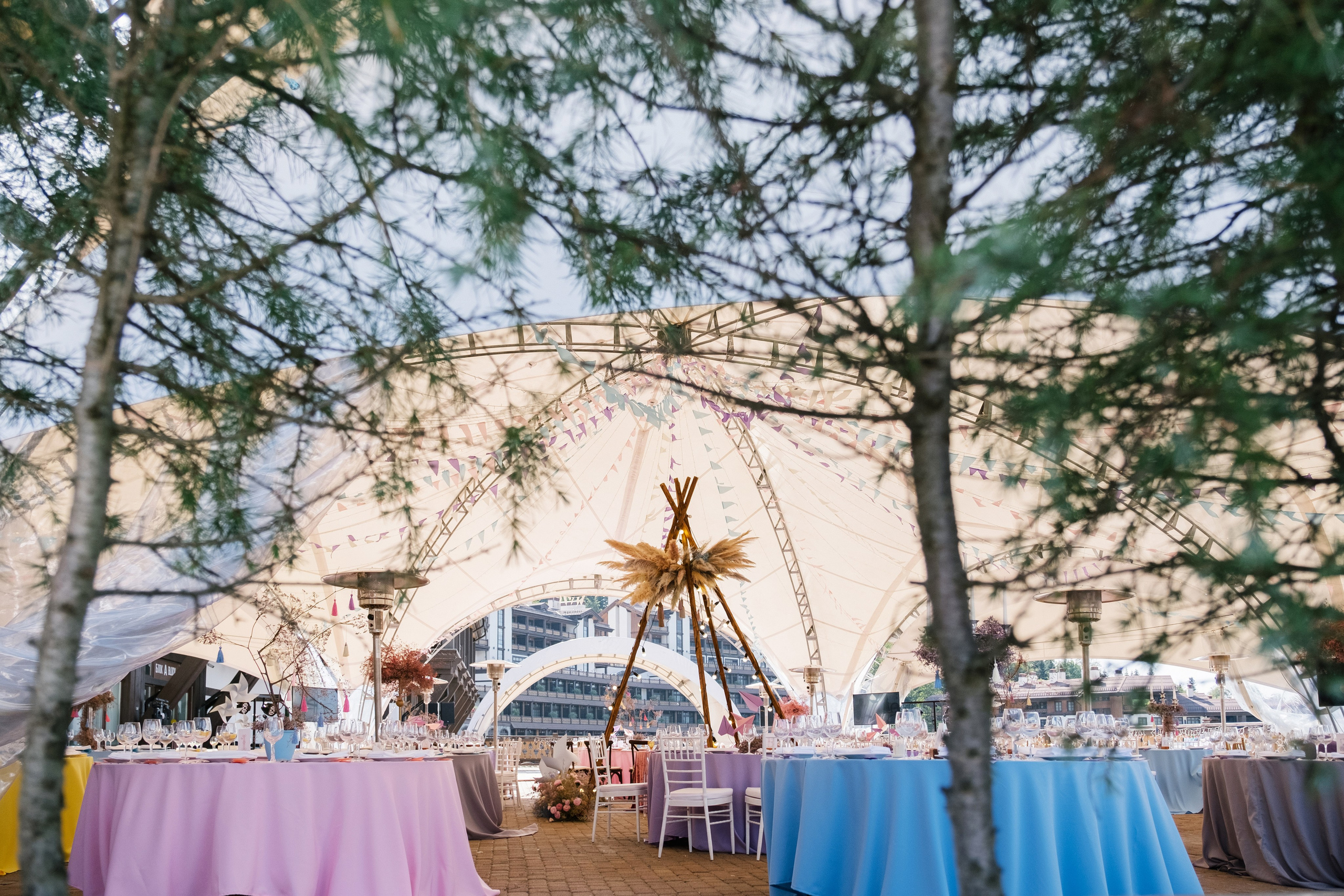 Фестиваль чувств. Свадебный Видеограф Фотограф в Сочи