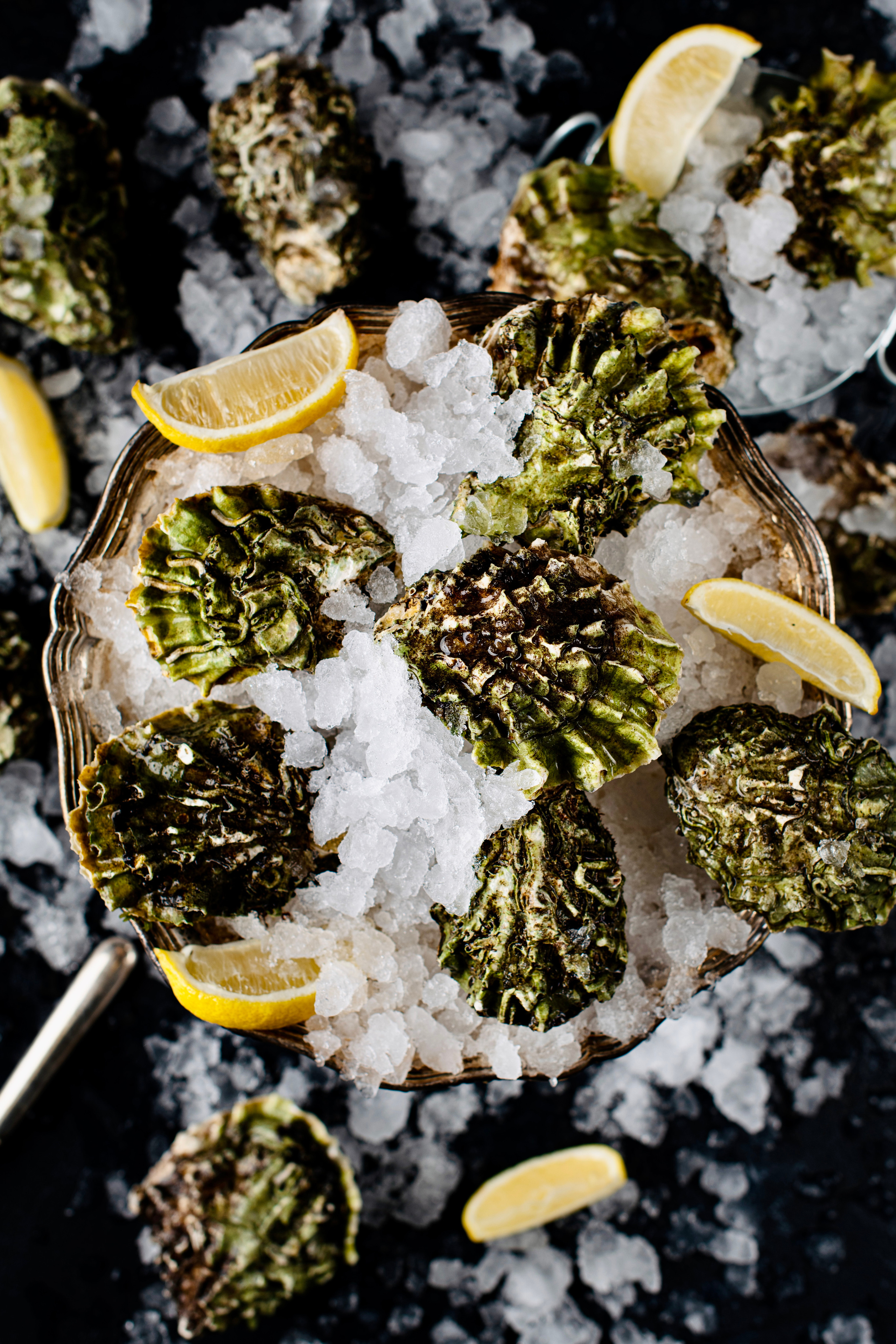 SEAFOOD. Elnora Atnagulova Foodphotography