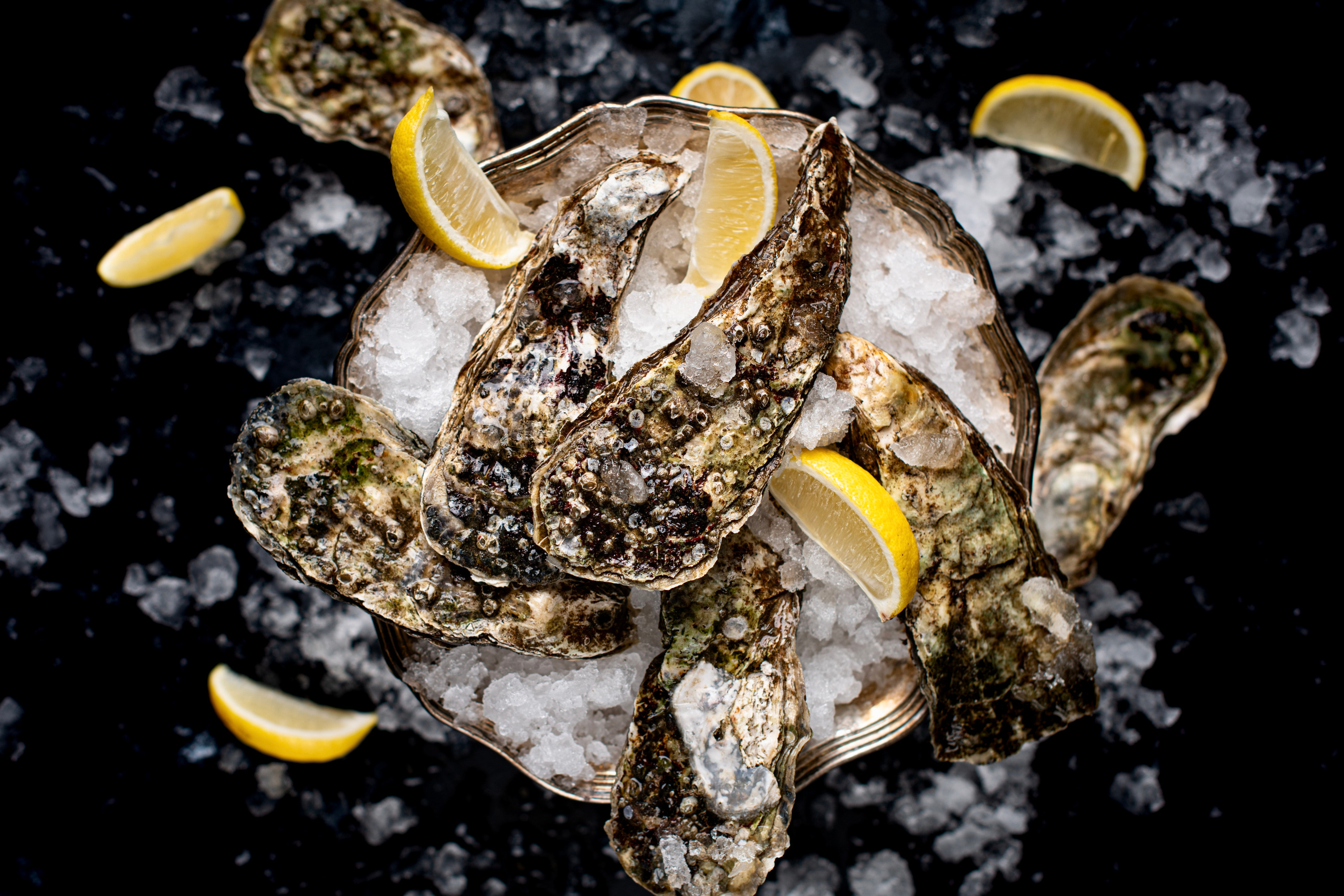 SEAFOOD. Elnora Atnagulova Foodphotography