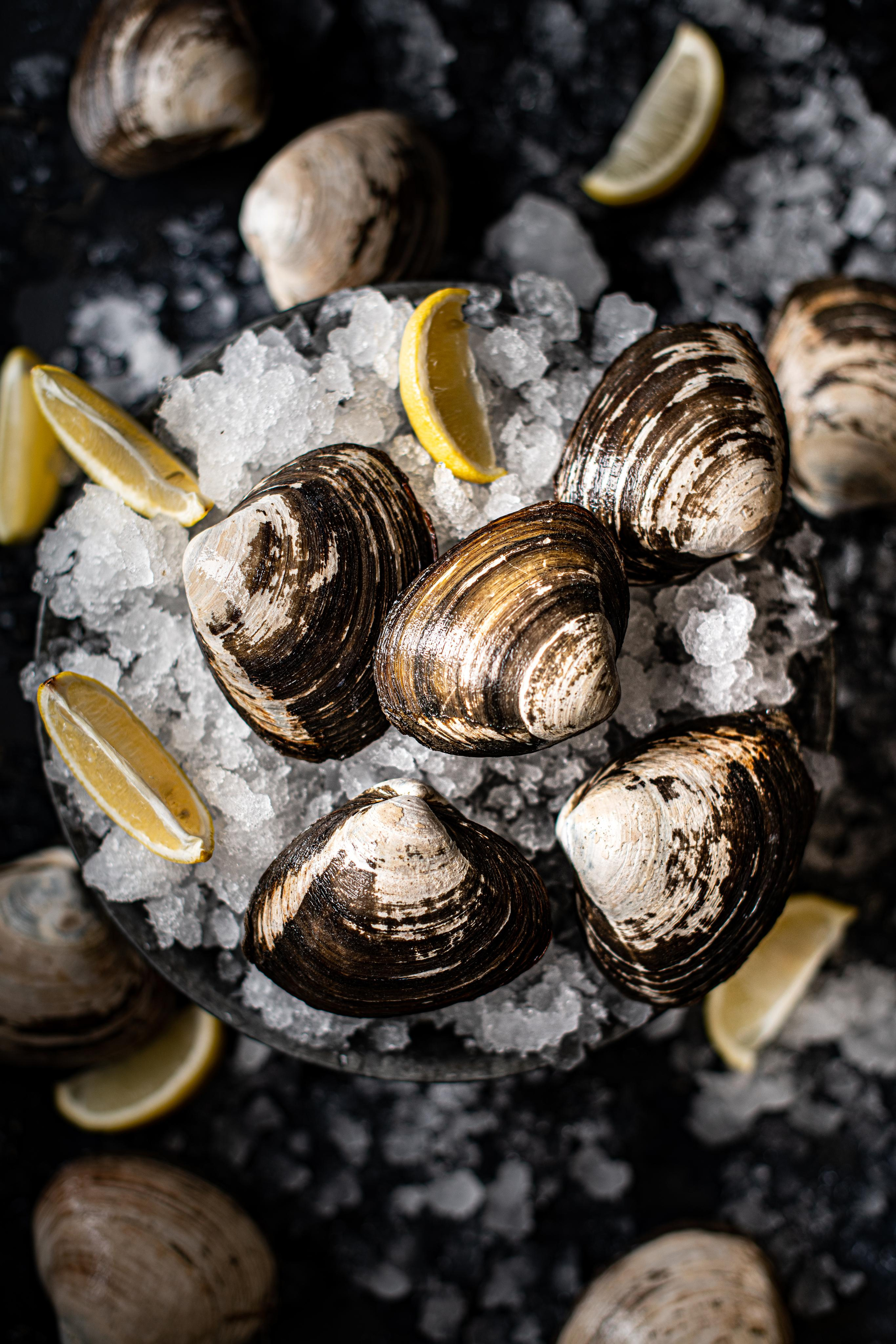 SEAFOOD. Elnora Atnagulova Foodphotography