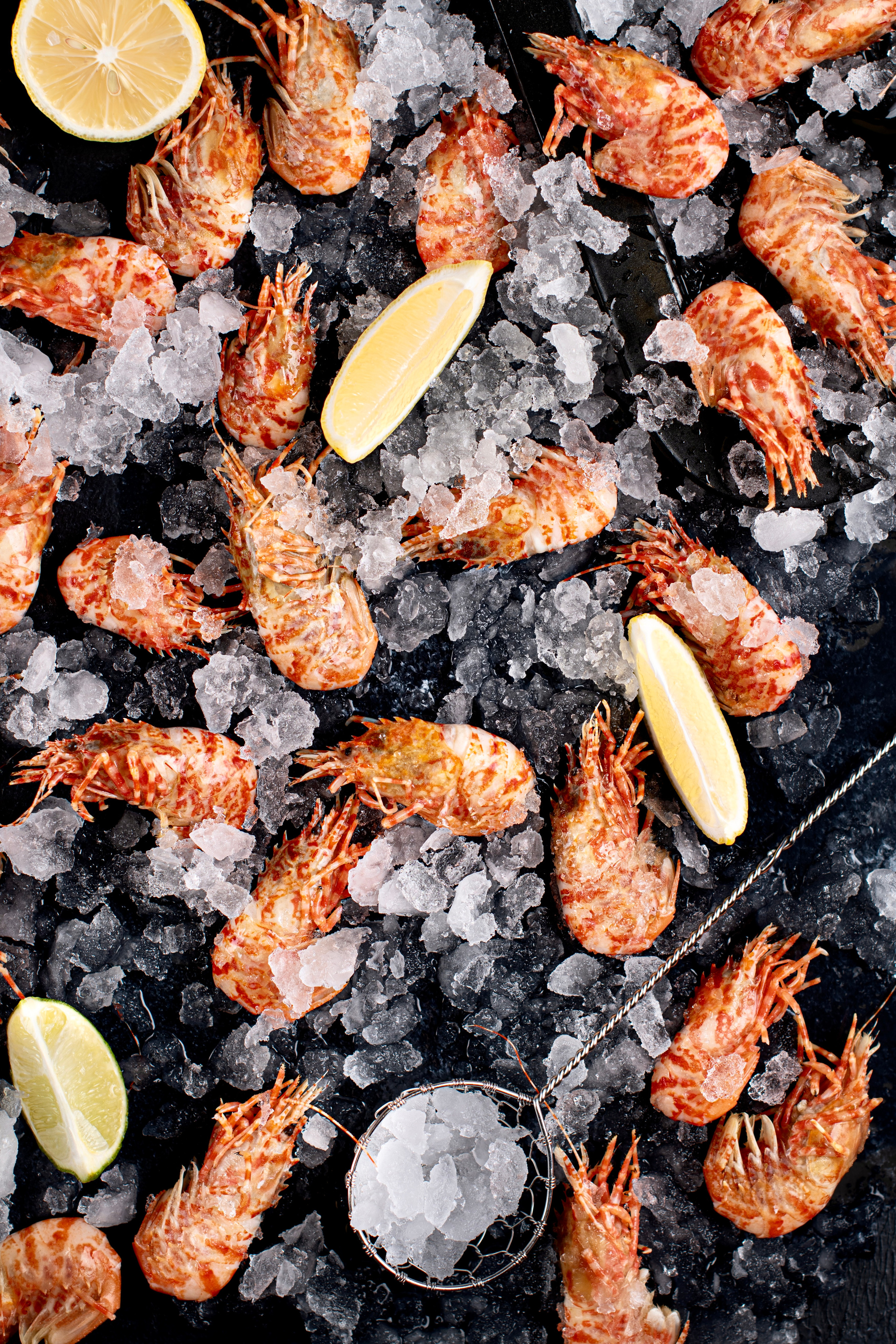 SEAFOOD. Elnora Atnagulova Foodphotography