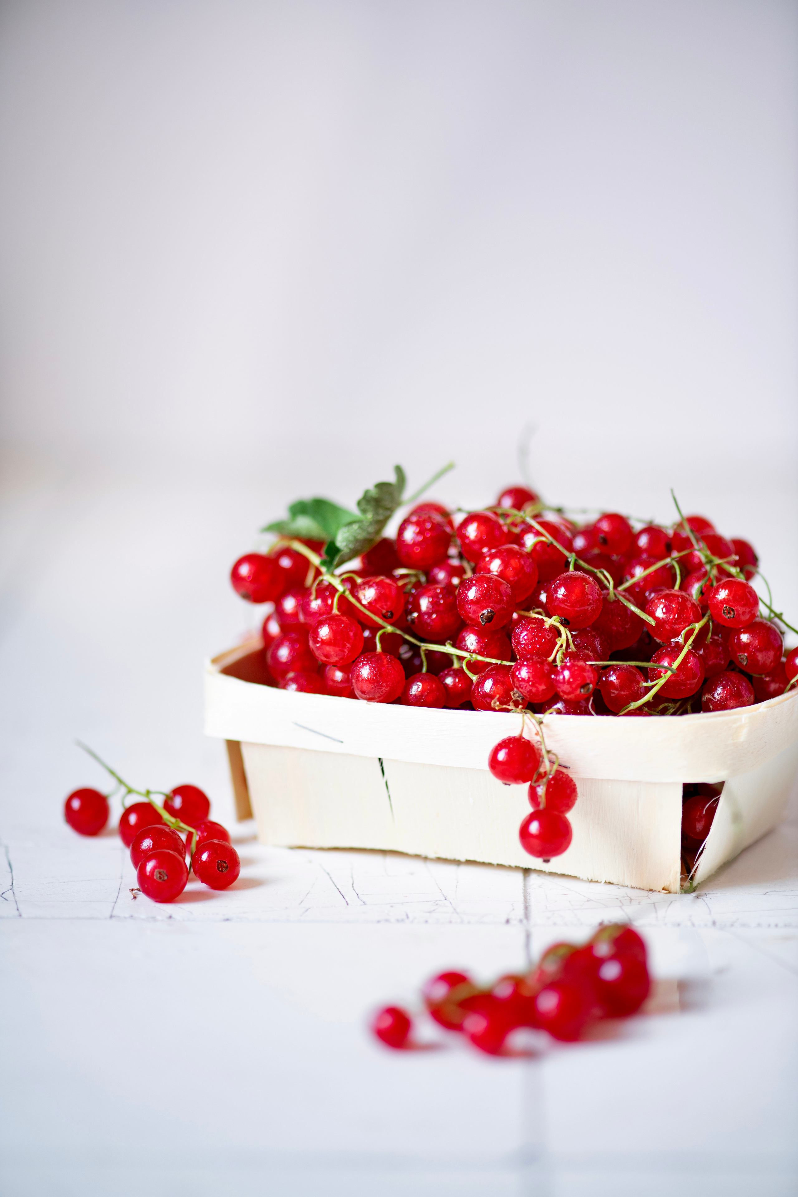 Фудфото. Elnora Atnagulova Foodphotography