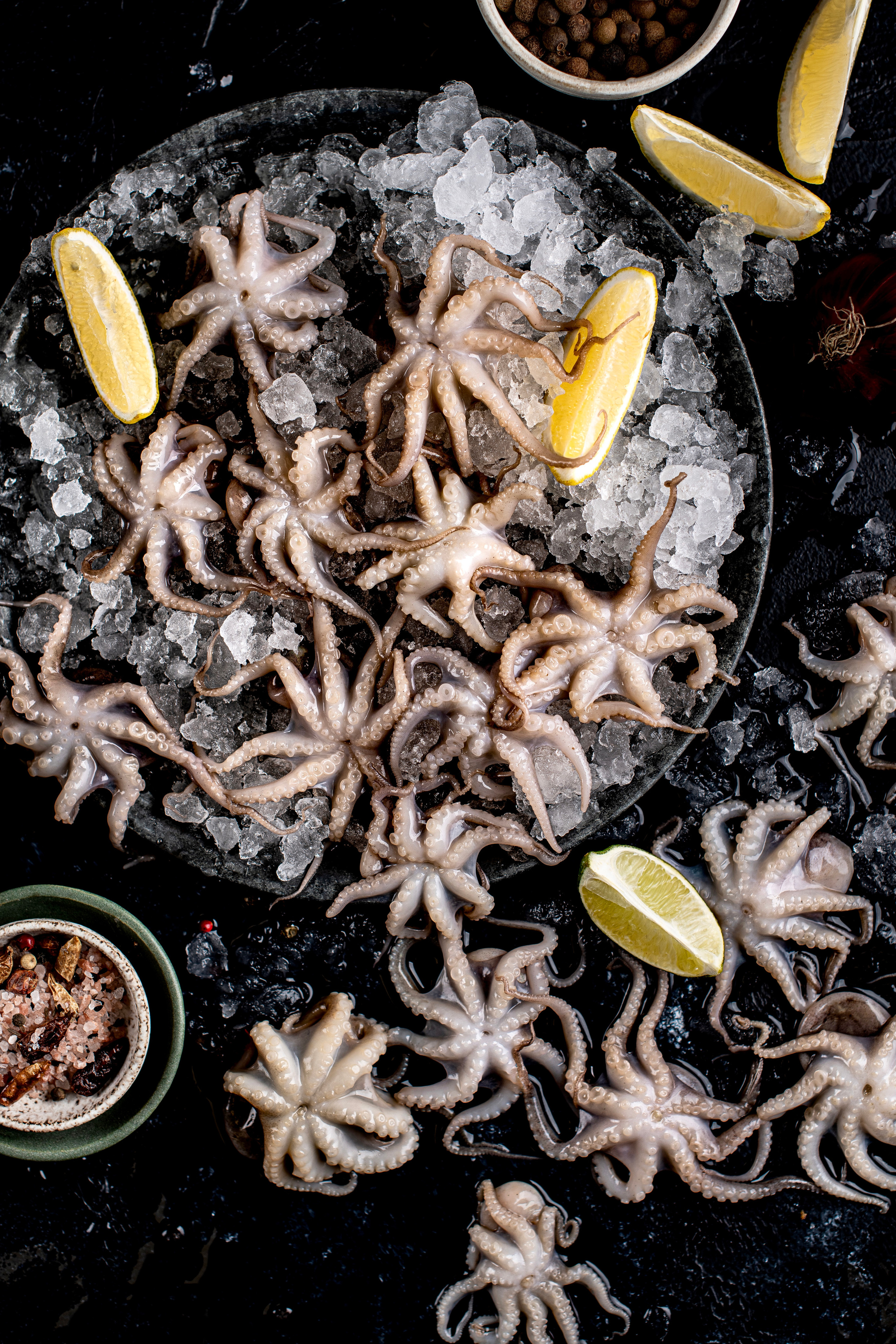 SEAFOOD. Elnora Atnagulova Foodphotography