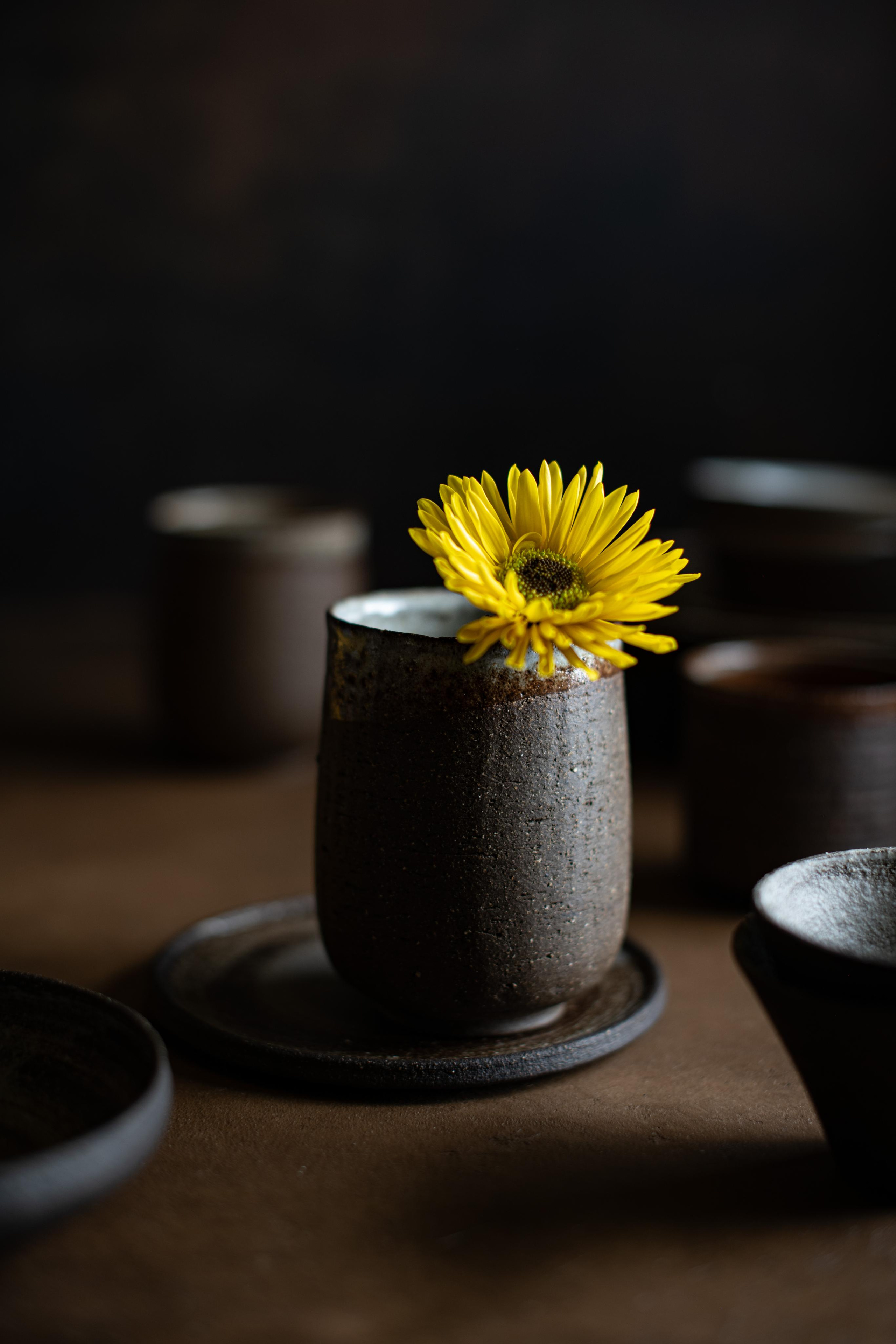 Elnora Atnagulova Foodphotography