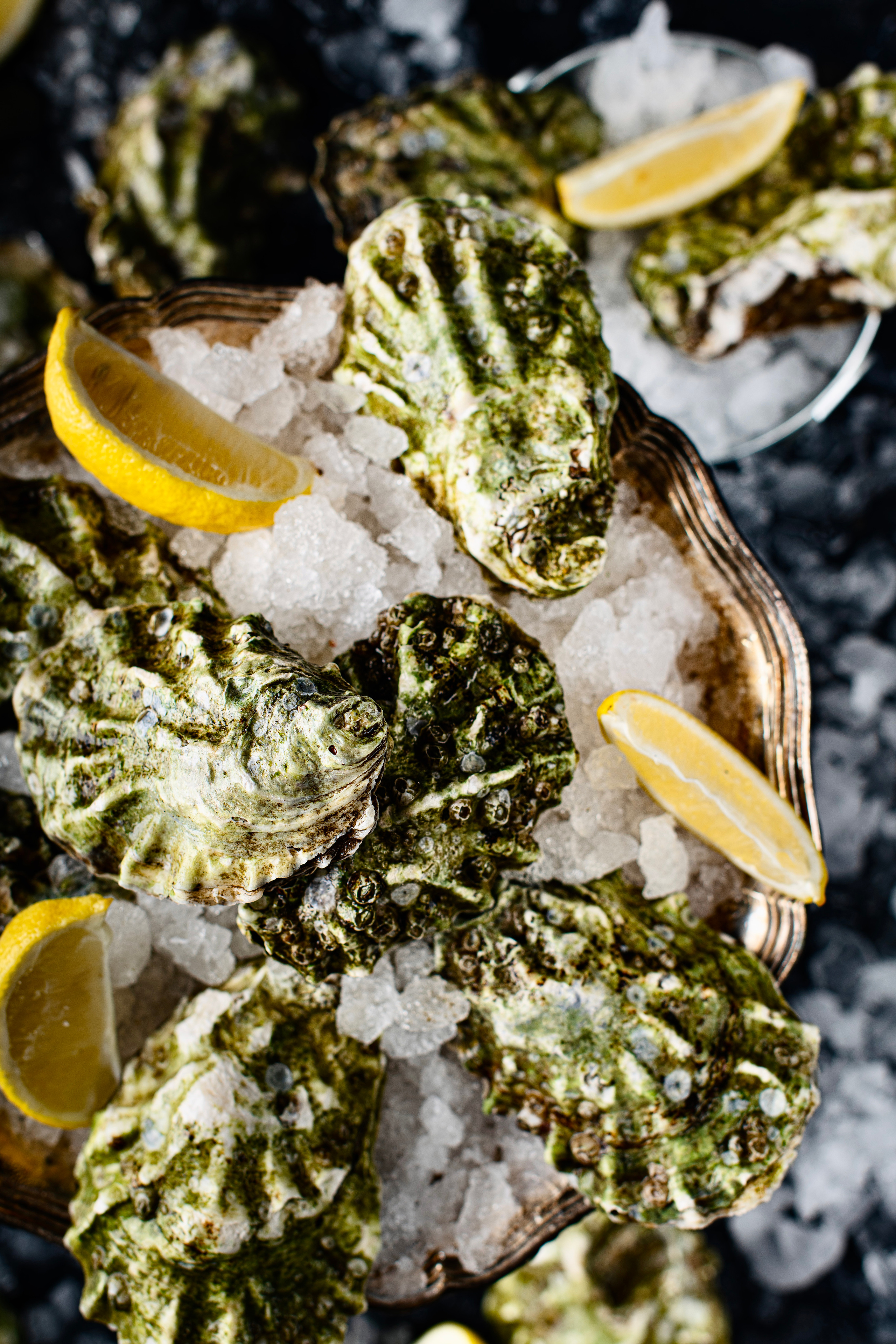 SEAFOOD. Elnora Atnagulova Foodphotography