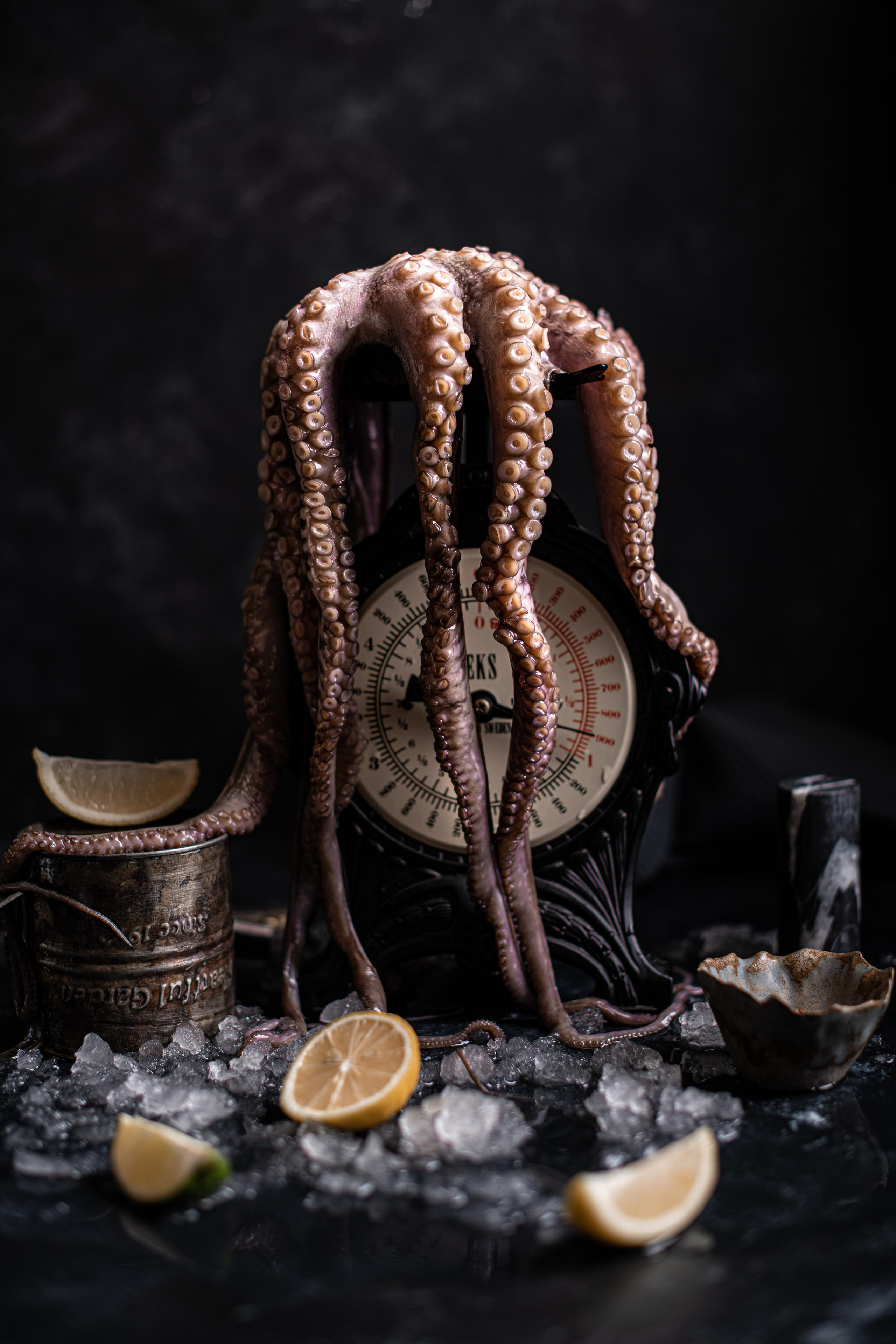 SEAFOOD. Elnora Atnagulova Foodphotography