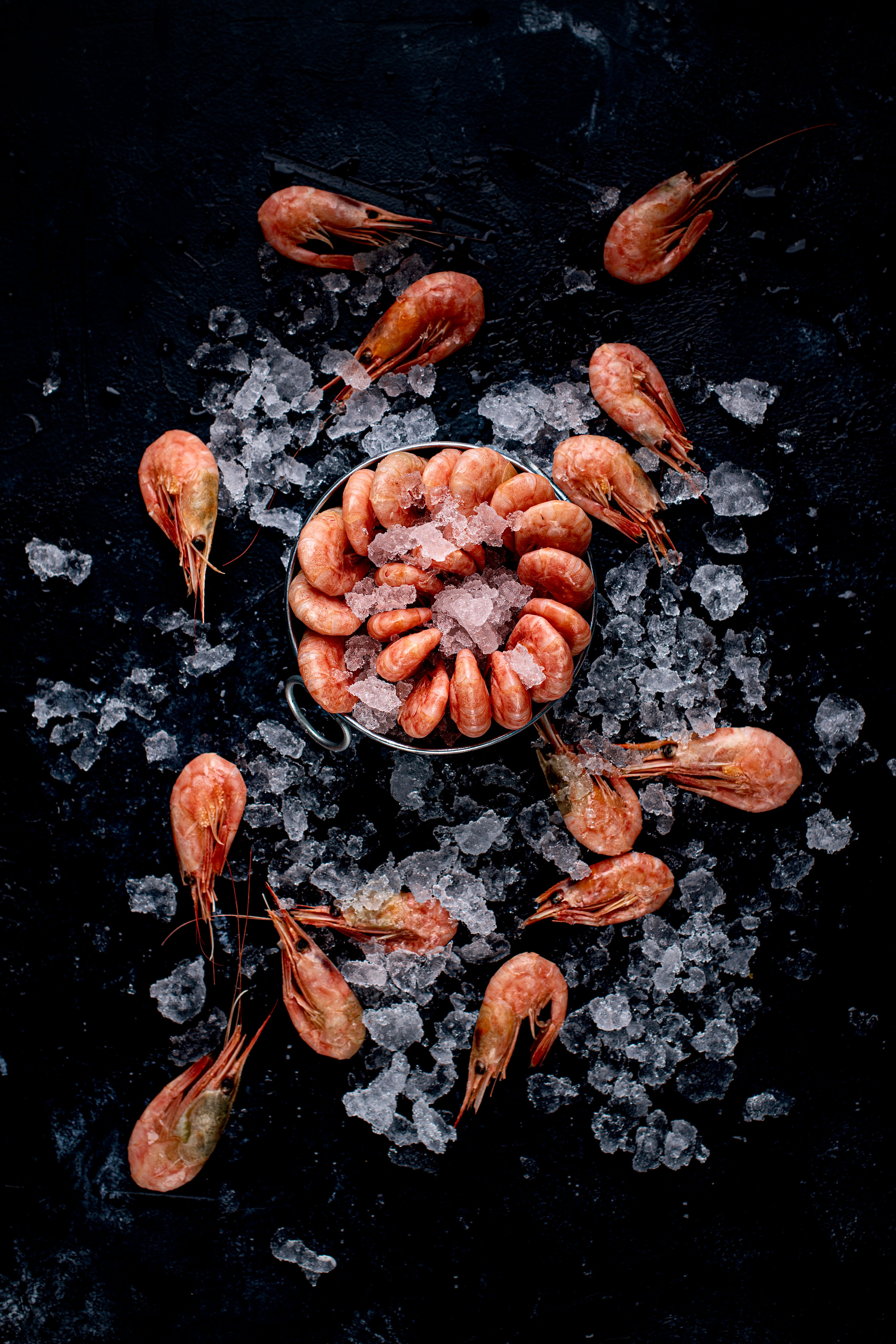 SEAFOOD. Elnora Atnagulova Foodphotography