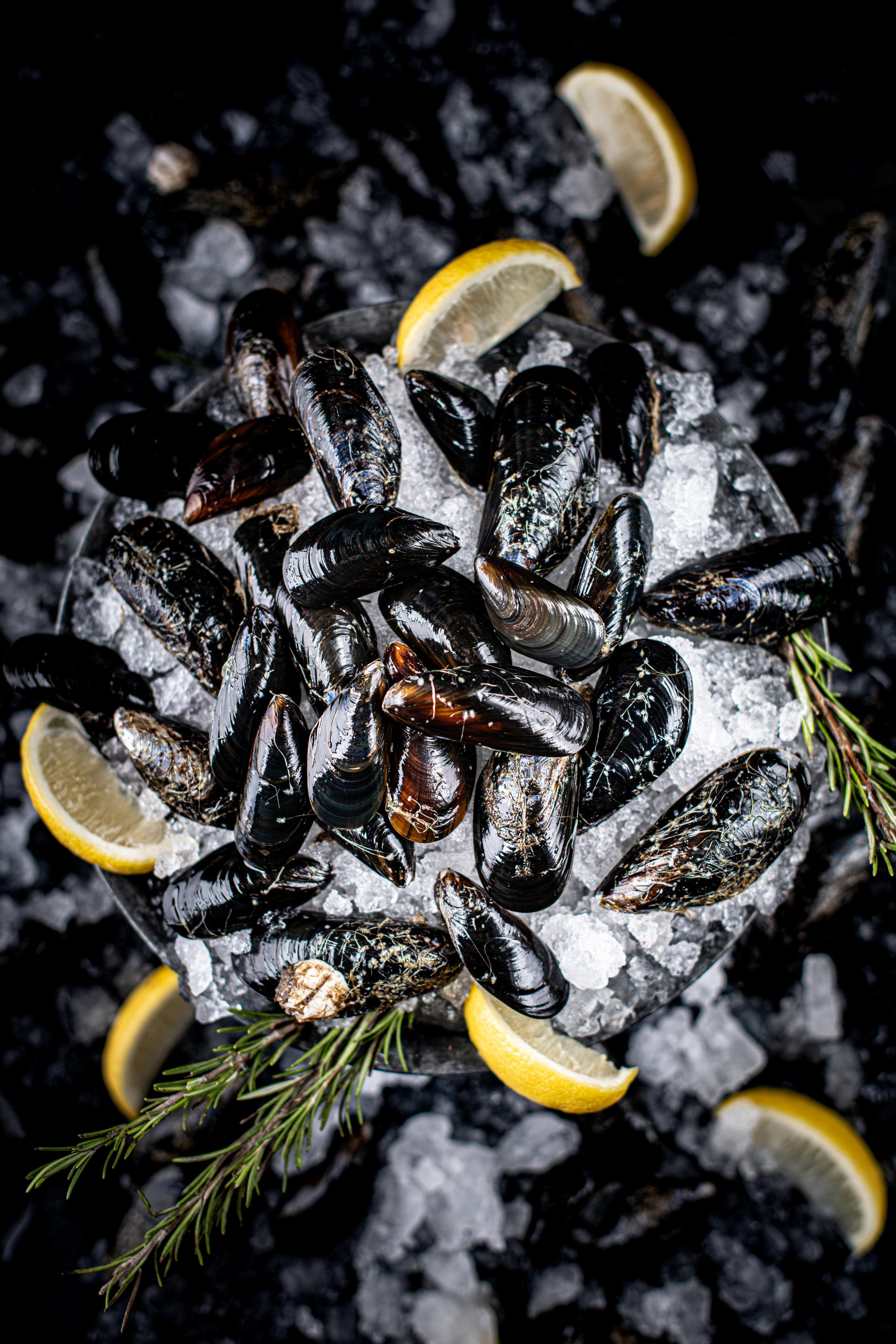 SEAFOOD. Elnora Atnagulova Foodphotography