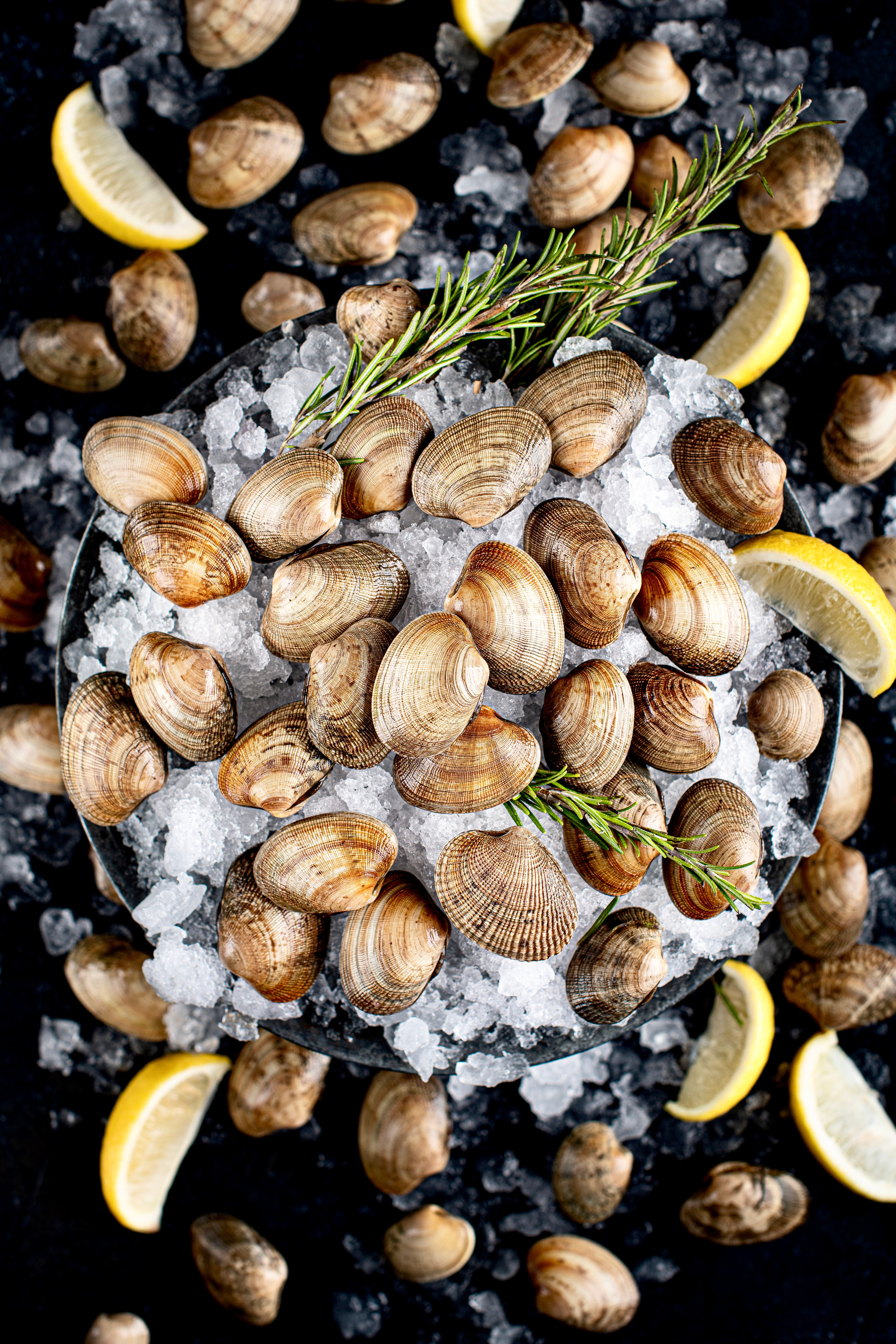 SEAFOOD. Elnora Atnagulova Foodphotography