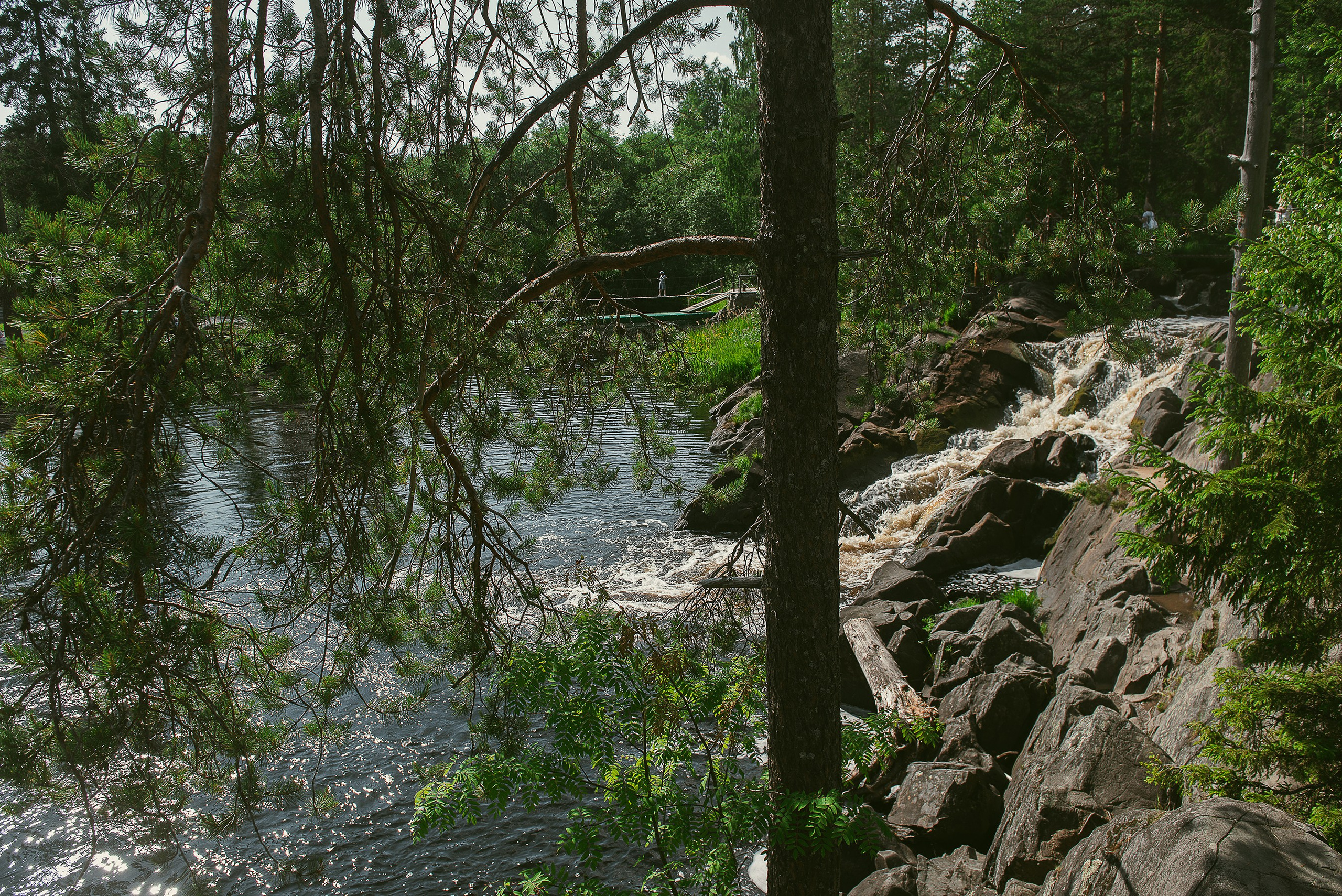 Карелия. Фотограф-анималист Наталья Светличная
