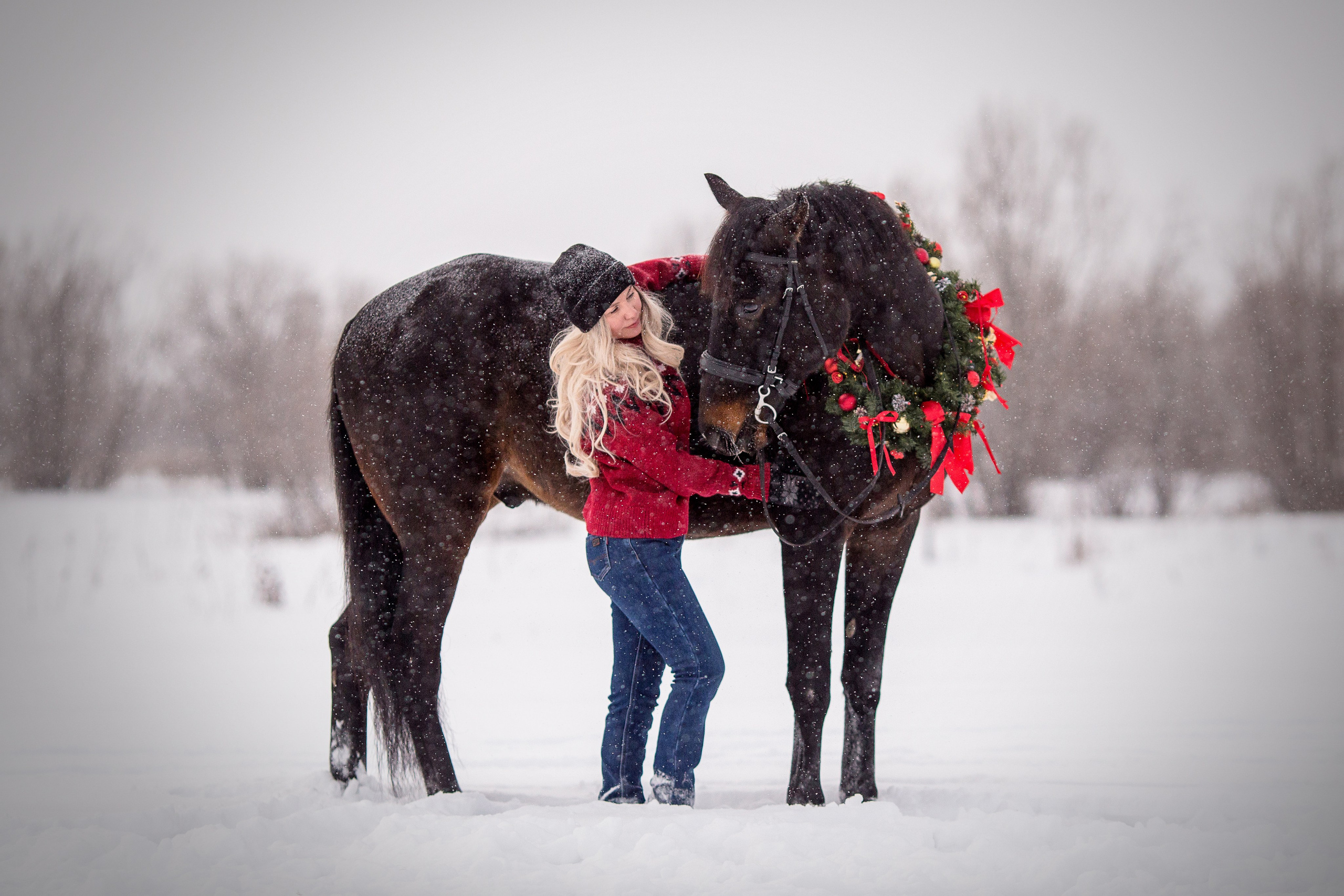 Новогодняя фотосессия с лошадью