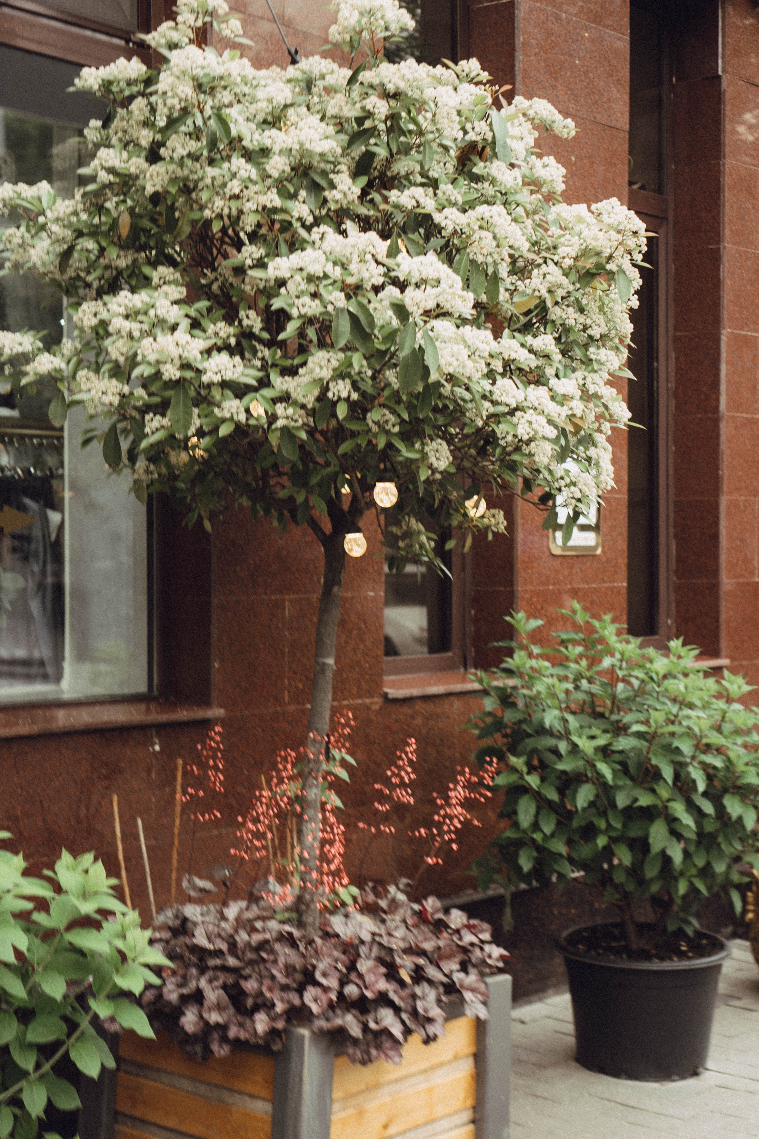 Кавказ. Профессиональный фотограф, Санкт-Петербург — Виктория Богомолова