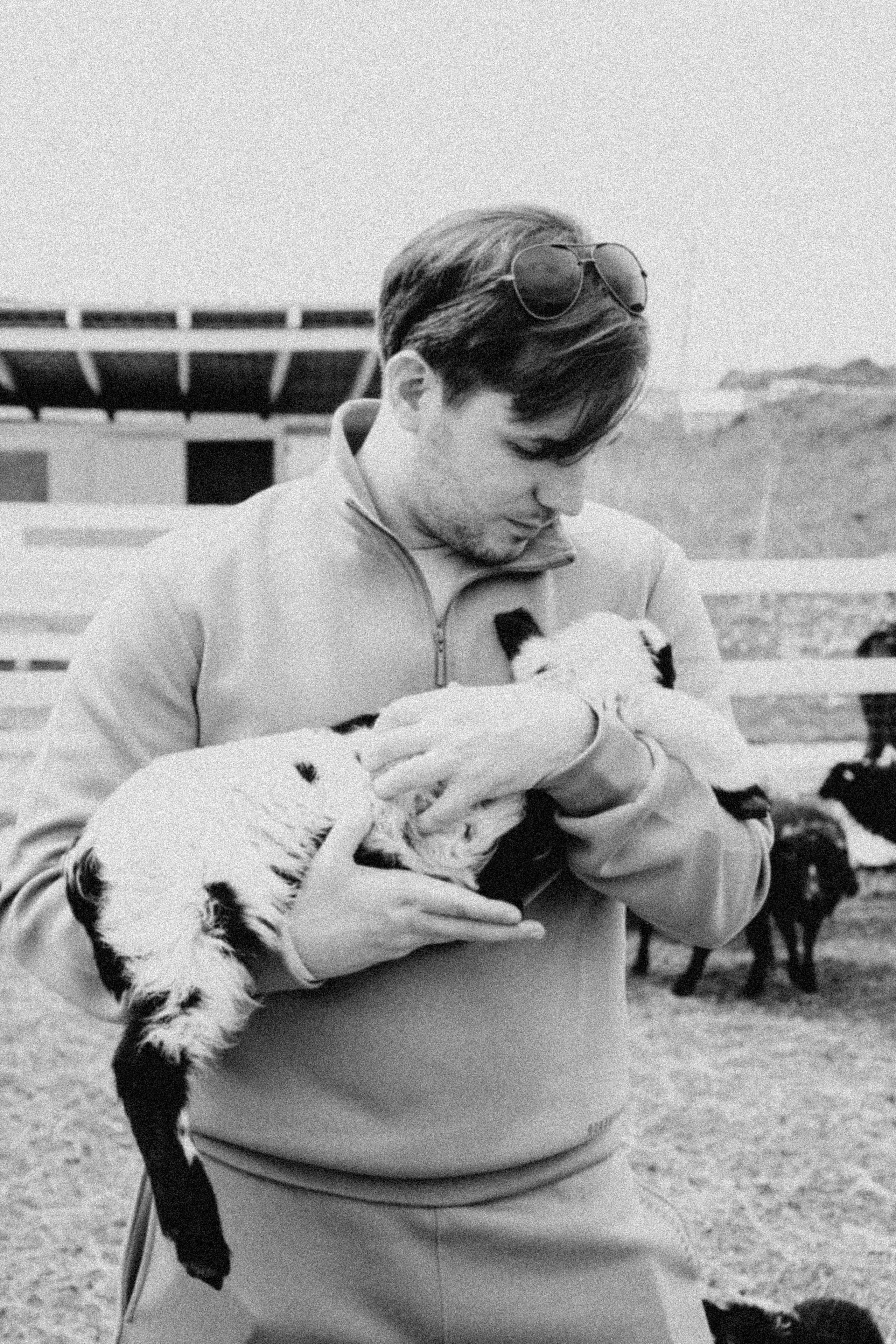 Ферма Альпак. Профессиональный фотограф, Санкт-Петербург — Виктория Богомолова