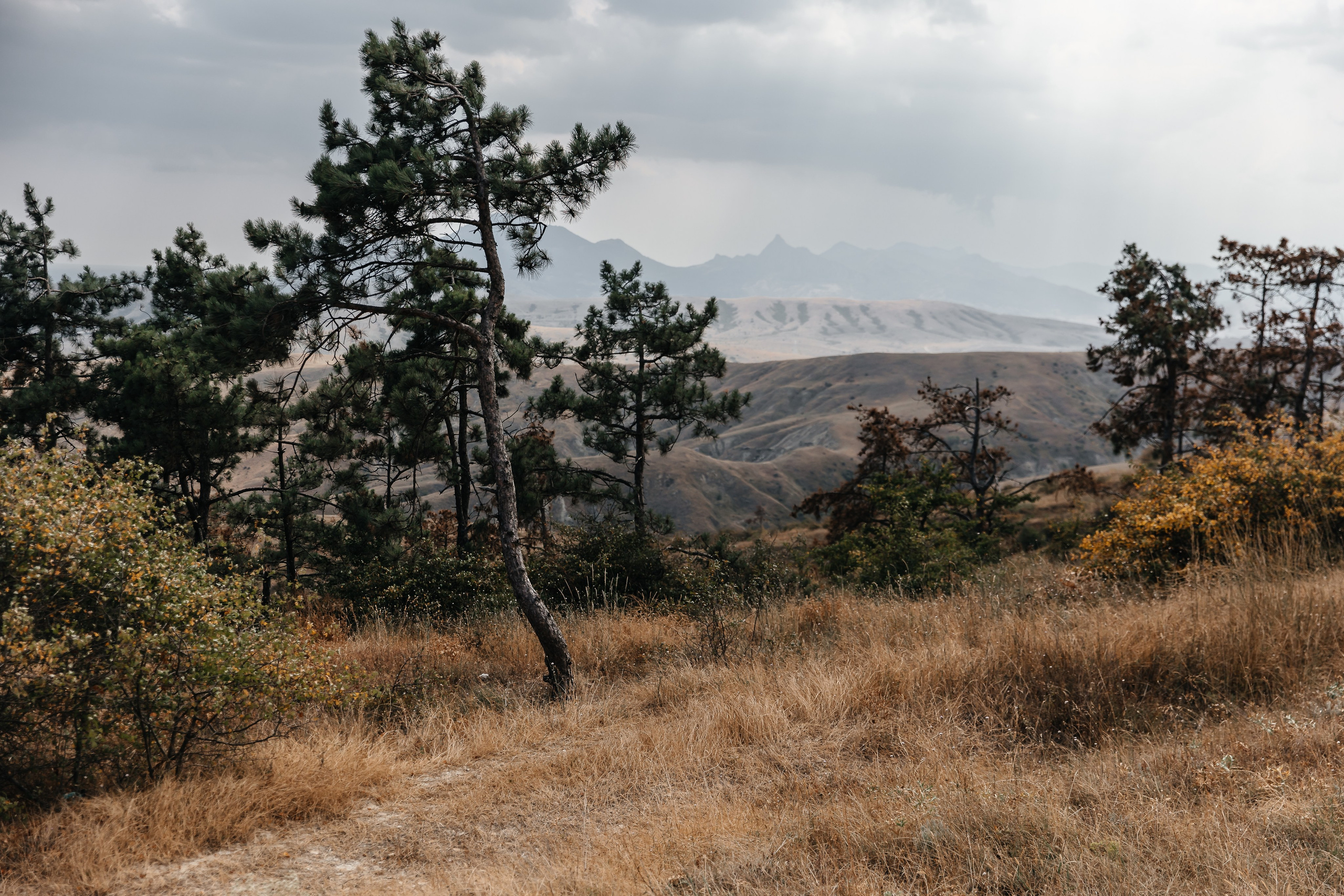 Анонс свадьбы для Валентины и Святослава. Свадебный фотограф в Крыму и Севастополе Ольга Баскакова
