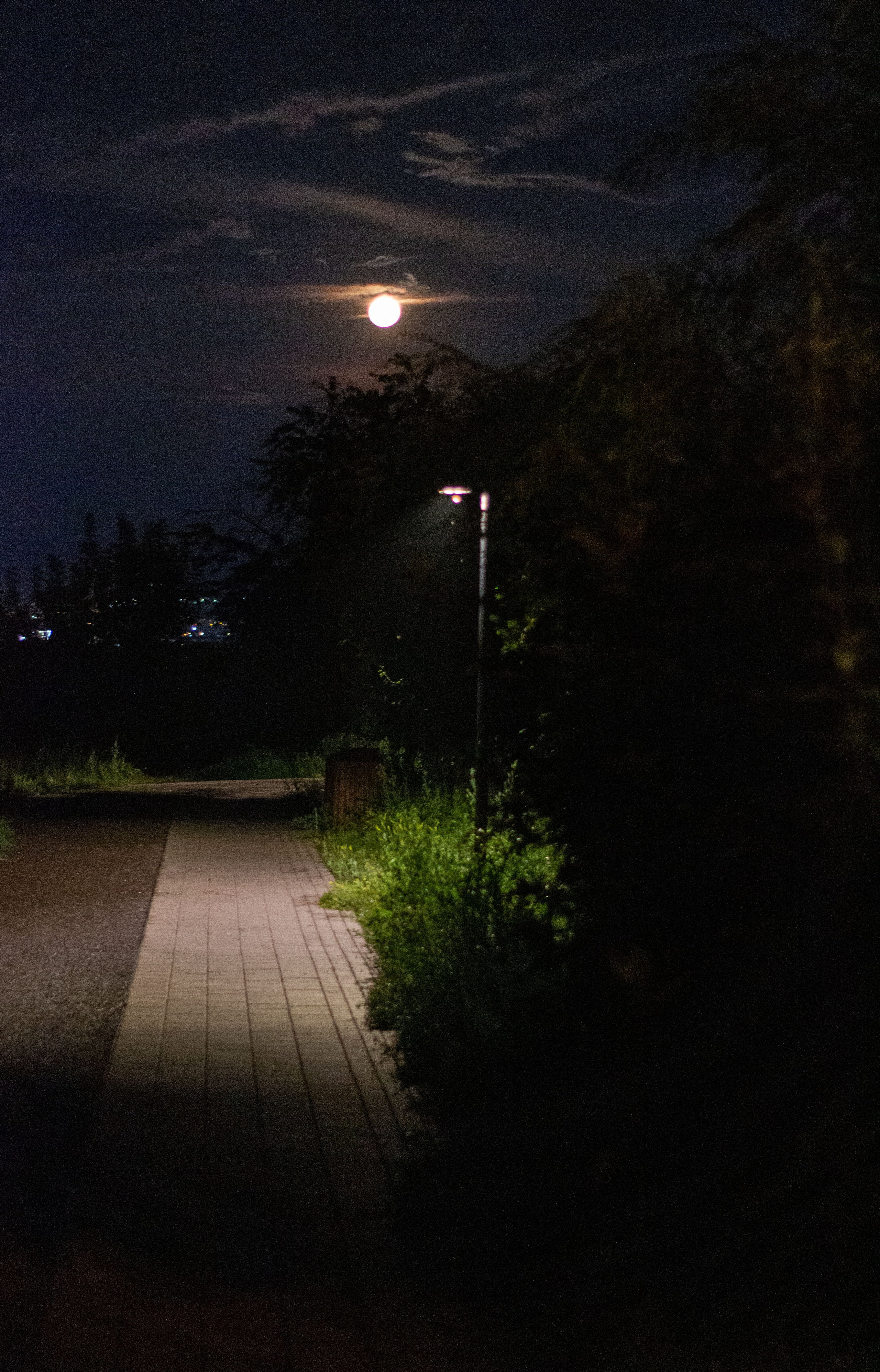 Street съёмка. Dyachenko Elena — фотограф из Сибири