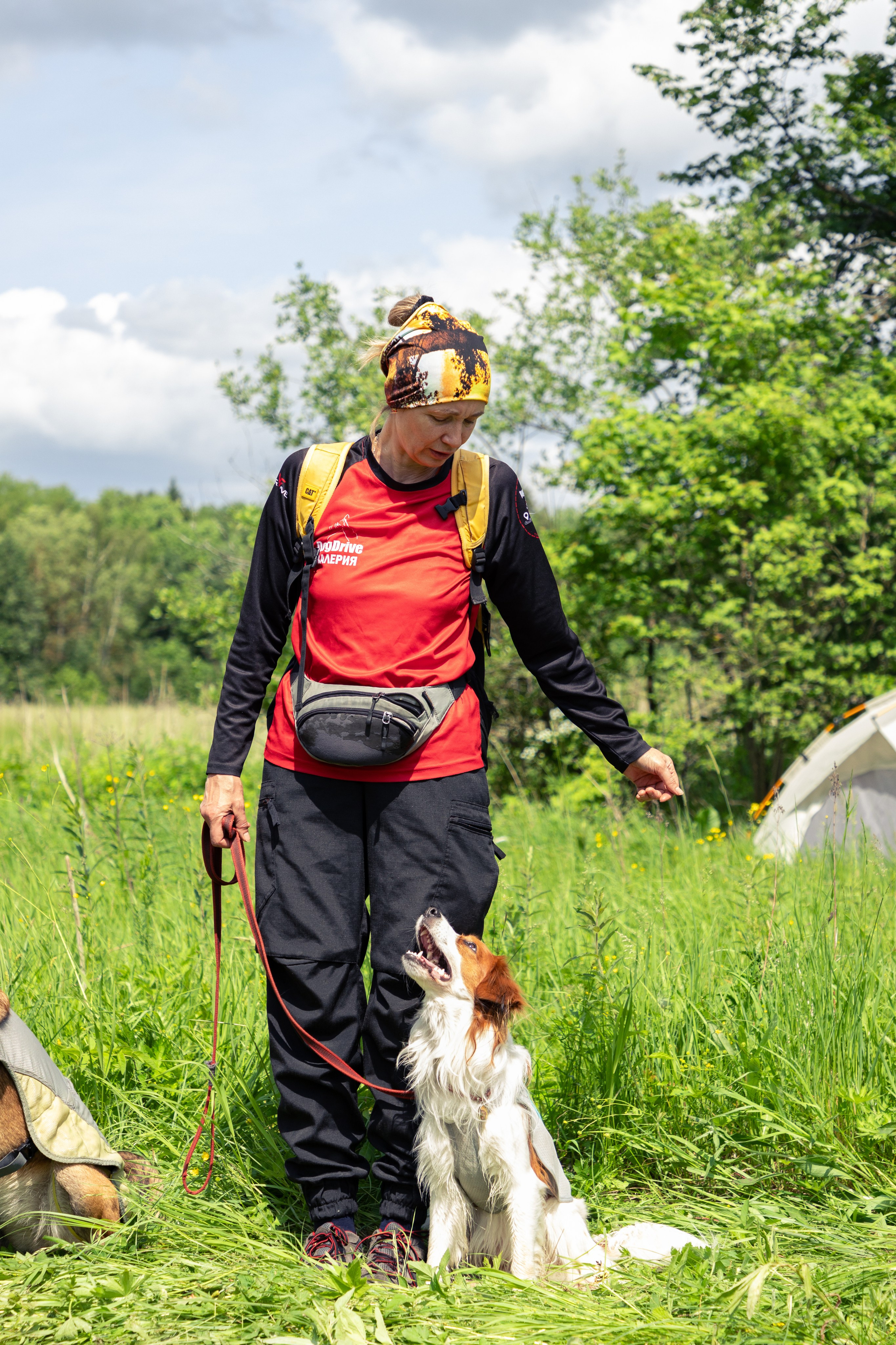 ДПСО «ЛизаАлерт». Главная
