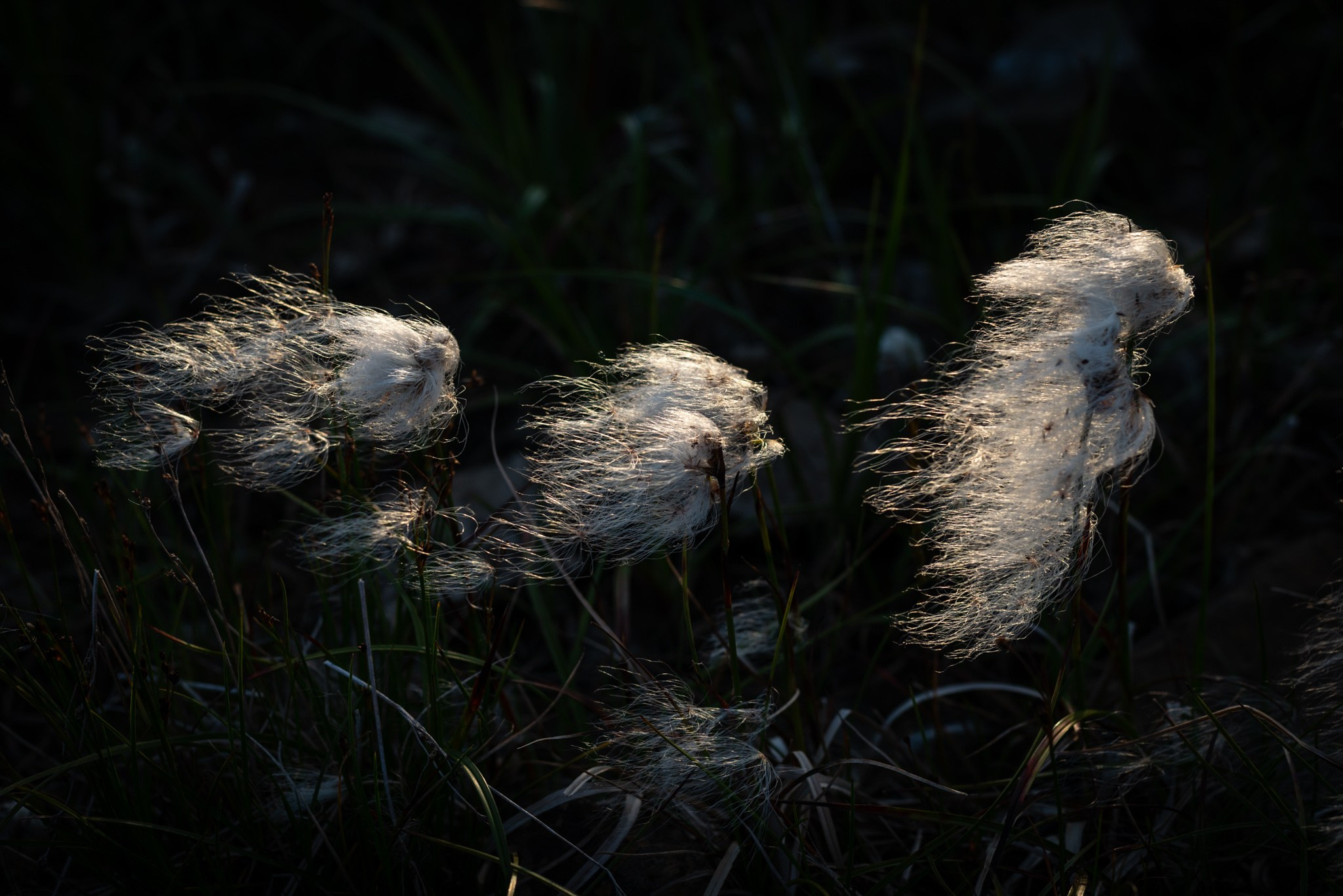 NATURE. Sailing Photographer Marina Semenova