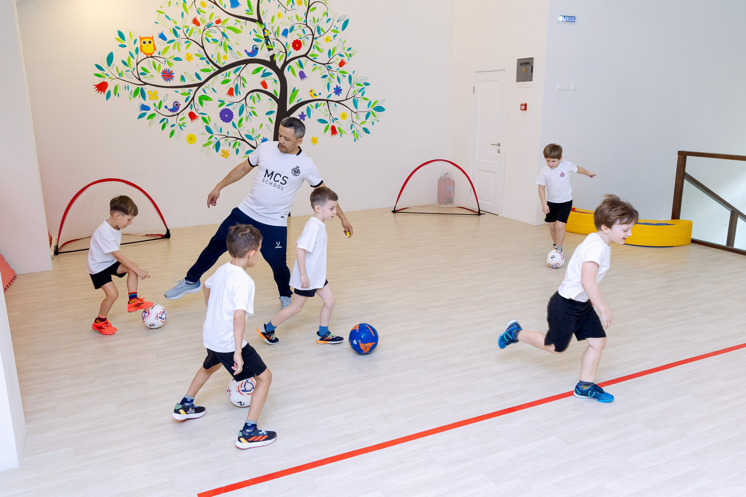 Школа и сад