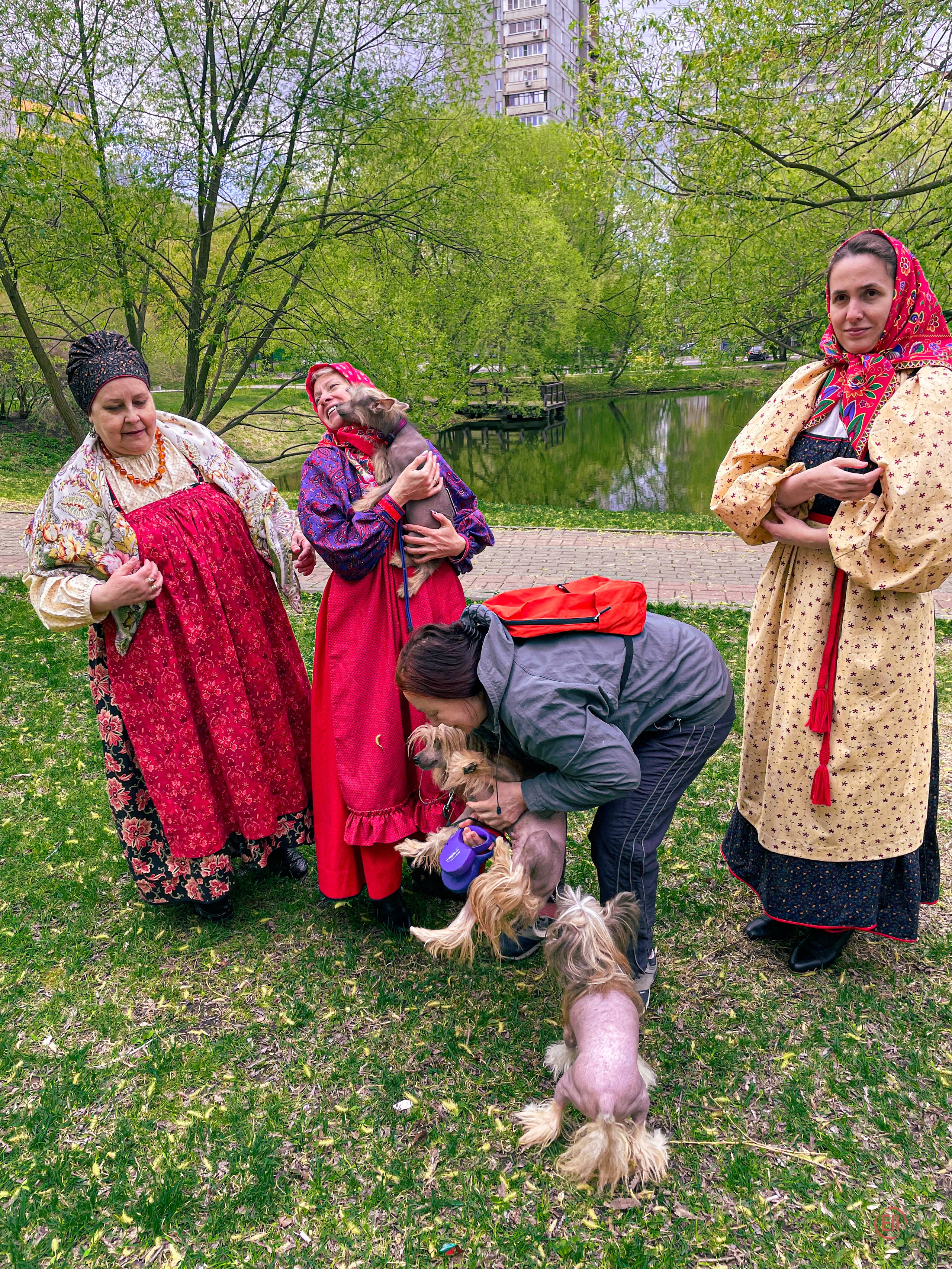 We were stopped on our walk!. Poale Ell Chinese Crested Dog Kennel: Buy a puppy from the kennel