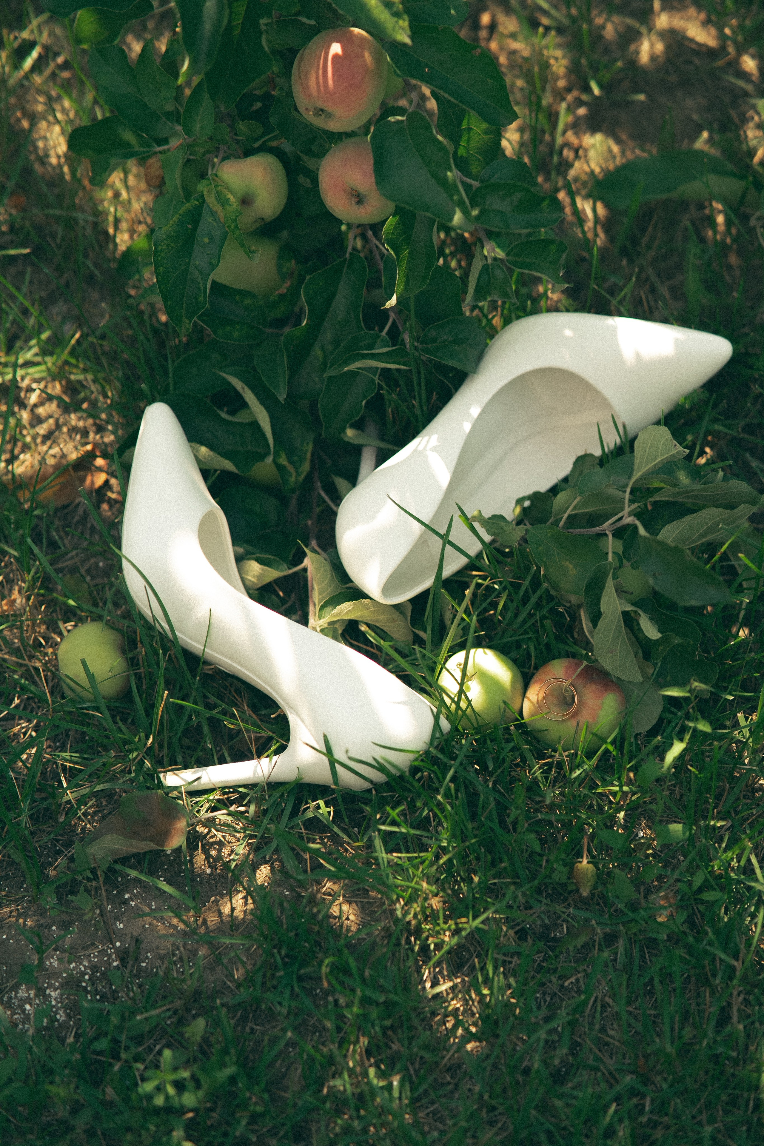 Сад. Фотограф Мария Зайчик