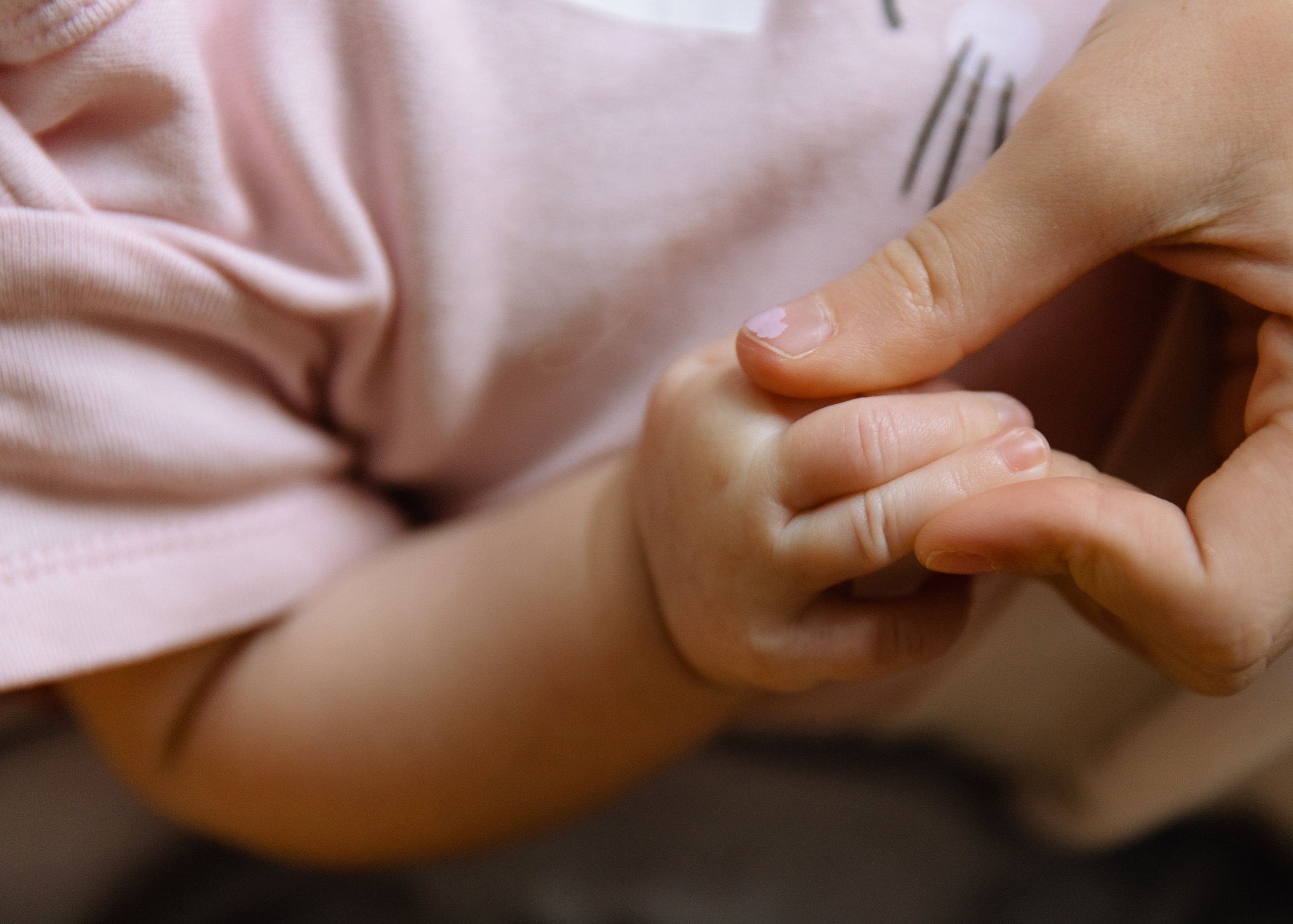 MYAGKIE BATONI. Аня Нагайцева фотограф в Томске, семьи, портреты, контент