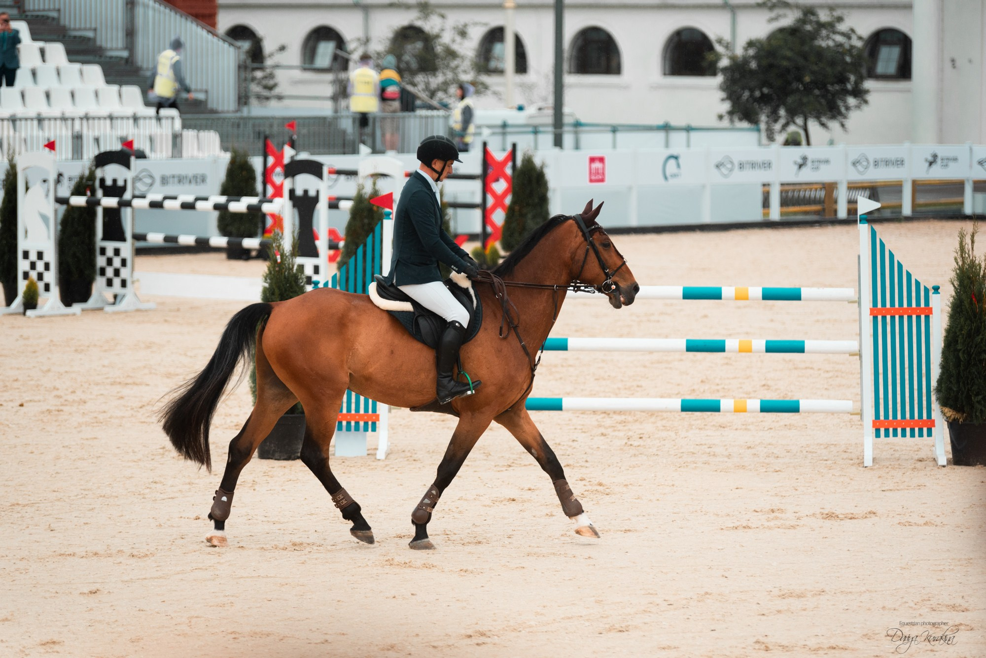 BITRIVER CUP 2023. Конный фотограф Куракина Дарья • Фотосессии с лошадьми