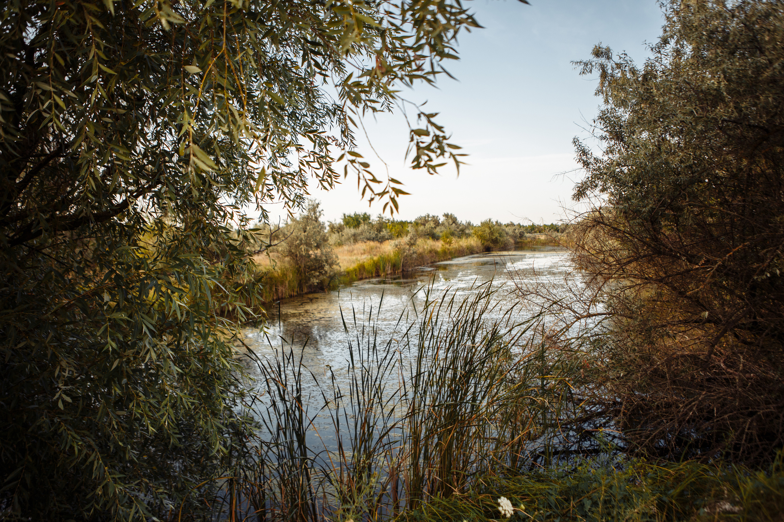 Семейные съемки. Свадебный и семейный фотограф в Ростове-на-Дону Кирилл Дементьев